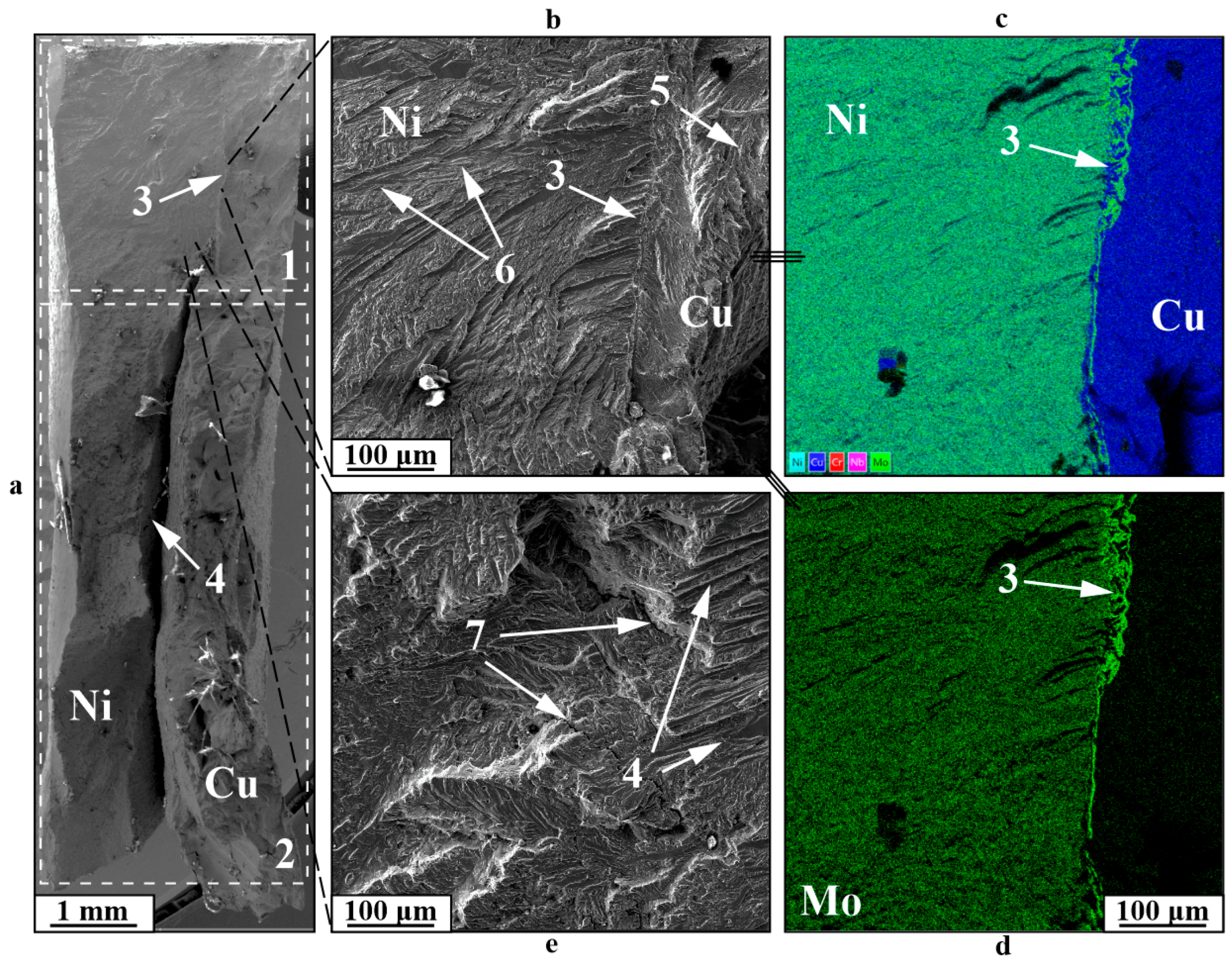 Materials 18 05450 g010 Materials 18 05450 g010