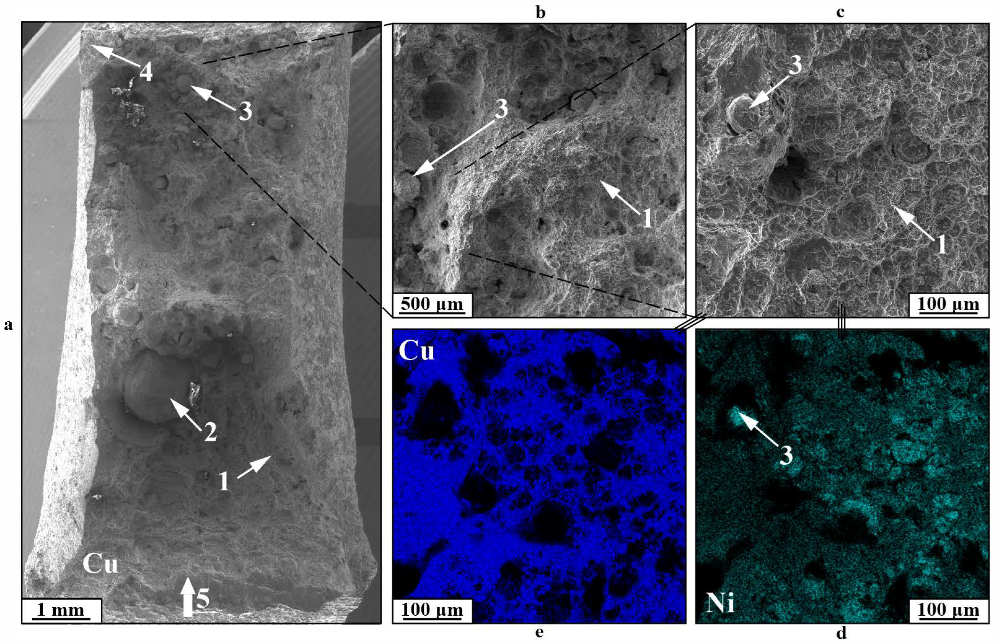 Materials 18 05450 g015 Materials 18 05450 g015