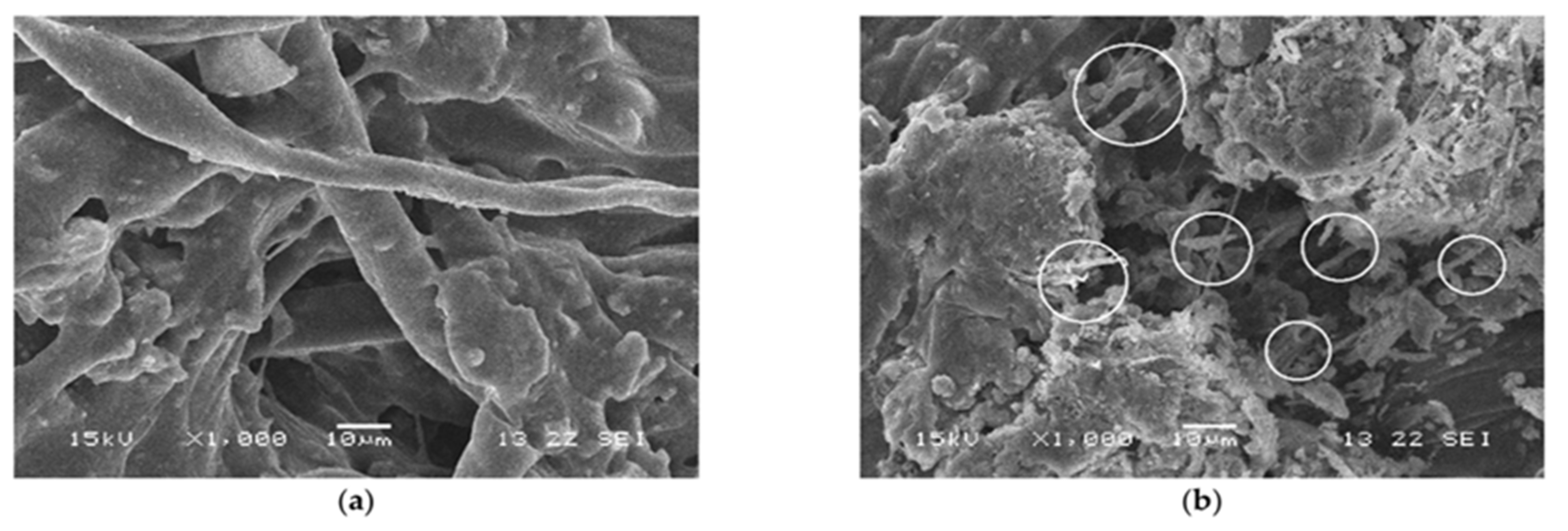 Materials 18 05452 g013