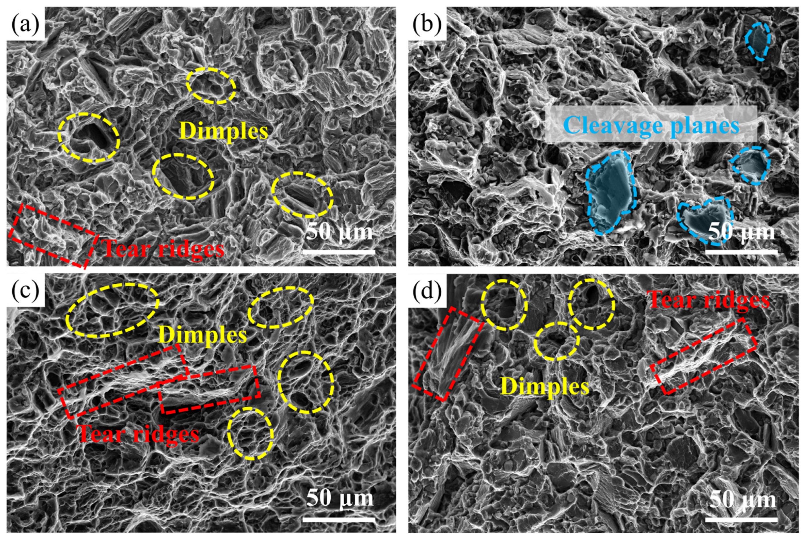 Materials 18 05454 g010 Materials 18 05454 g010