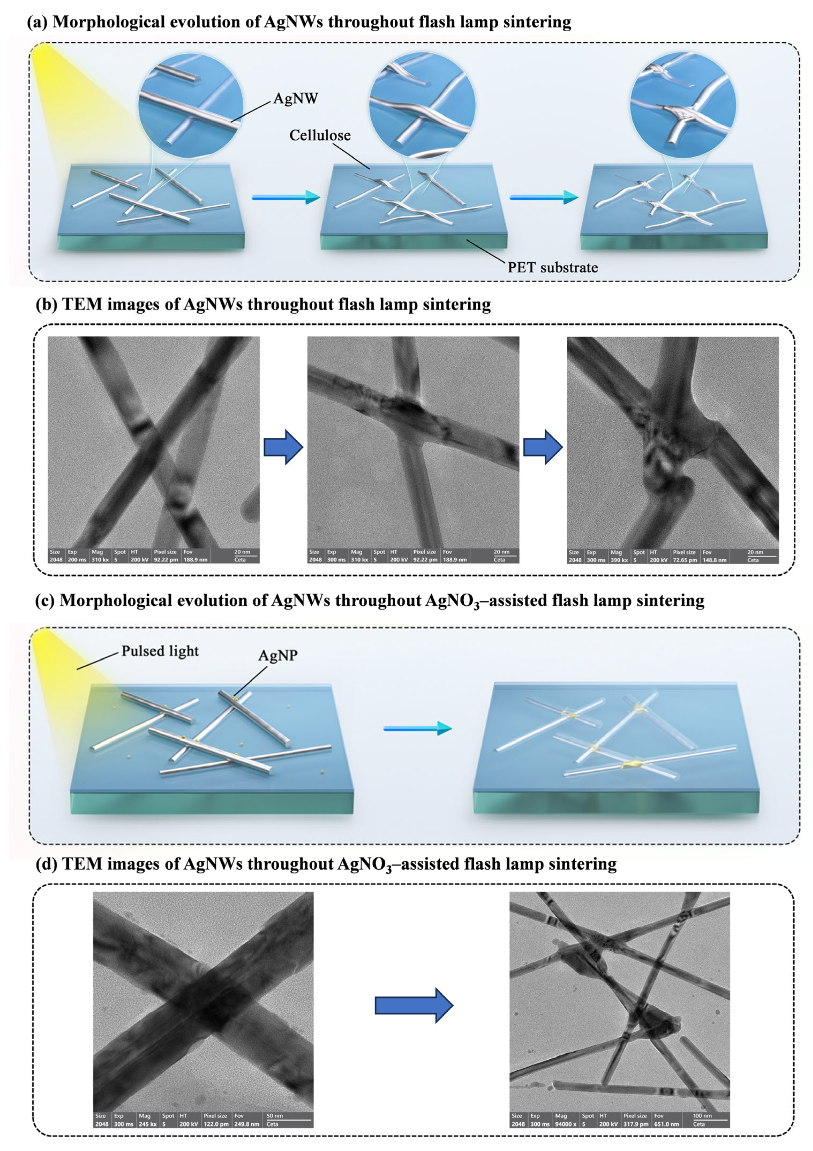 Materials 18 05456 g003