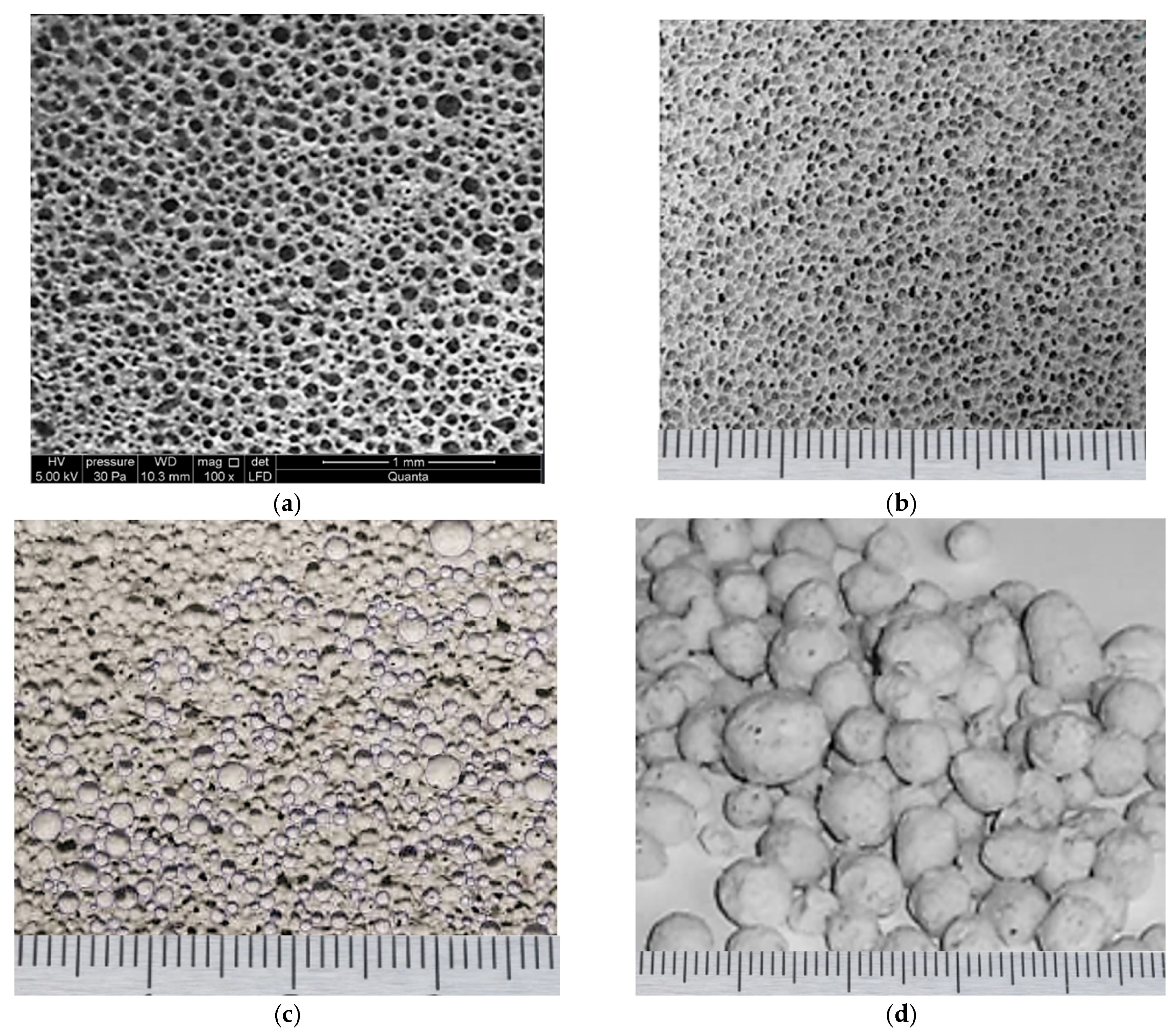 Materials 18 05459 g009 Materials 18 05459 g009