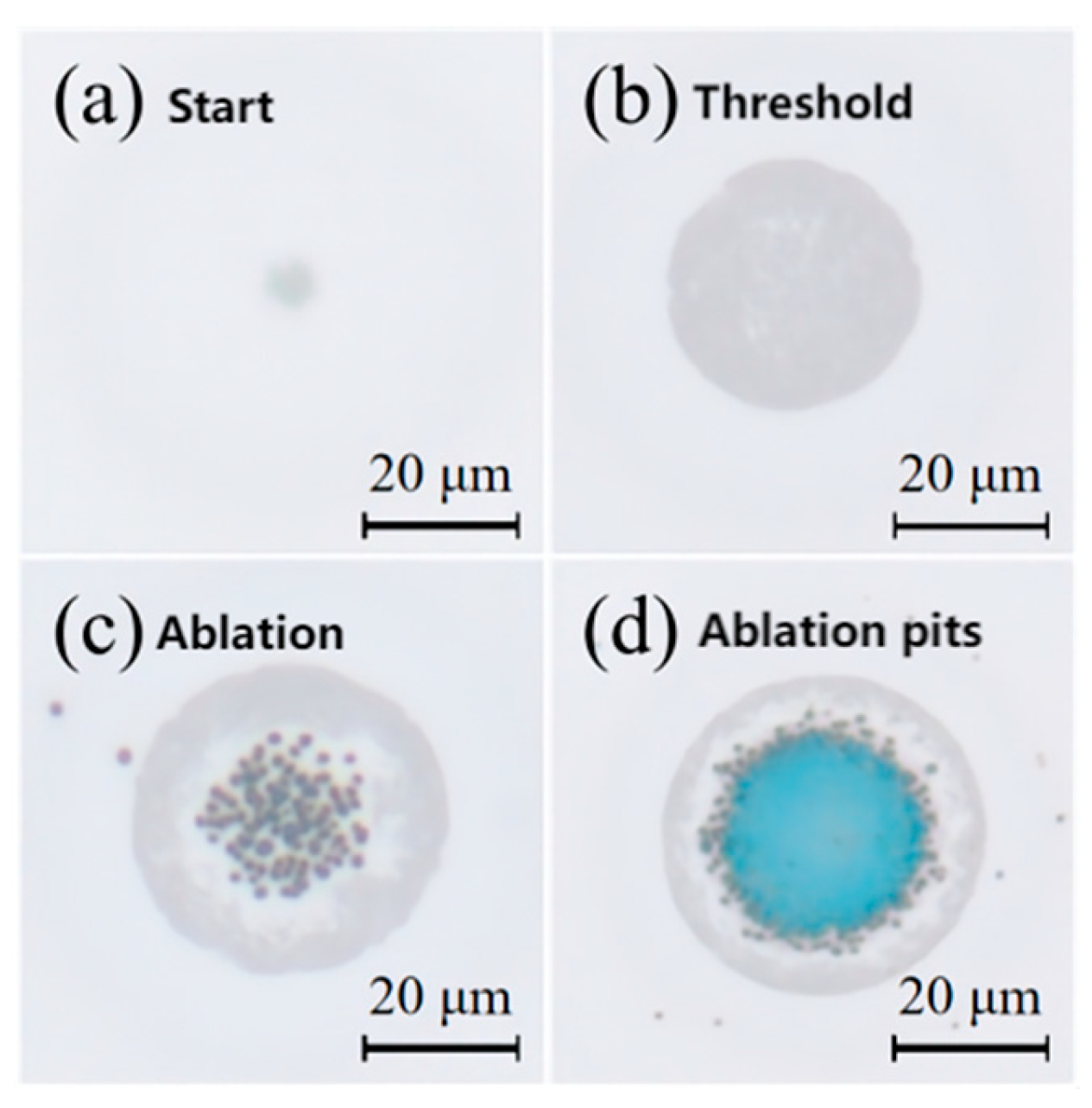 Materials 18 05466 g005 Materials 18 05466 g005