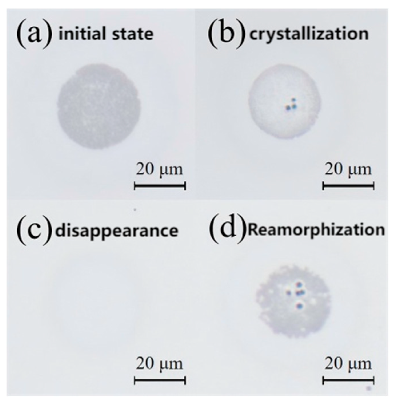 Materials 18 05466 g008 Materials 18 05466 g008