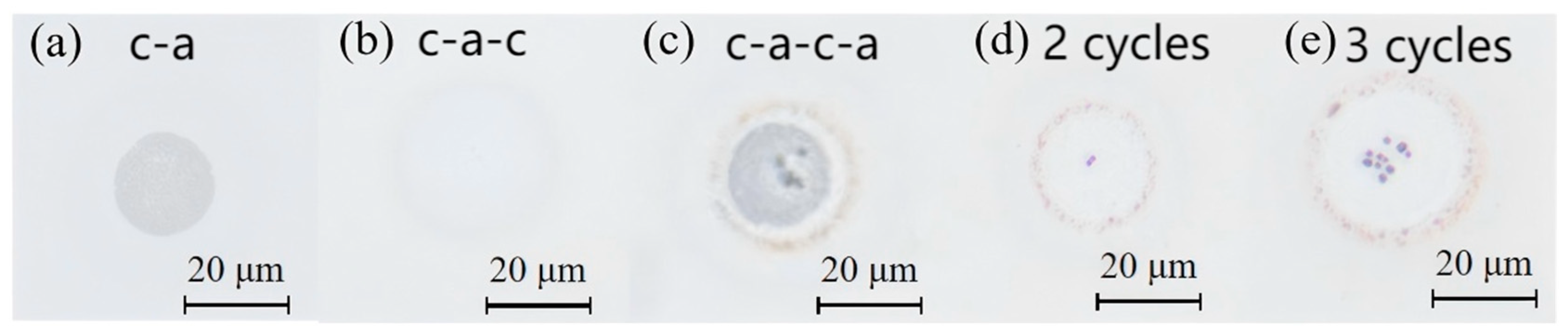 Materials 18 05466 g011 Materials 18 05466 g011