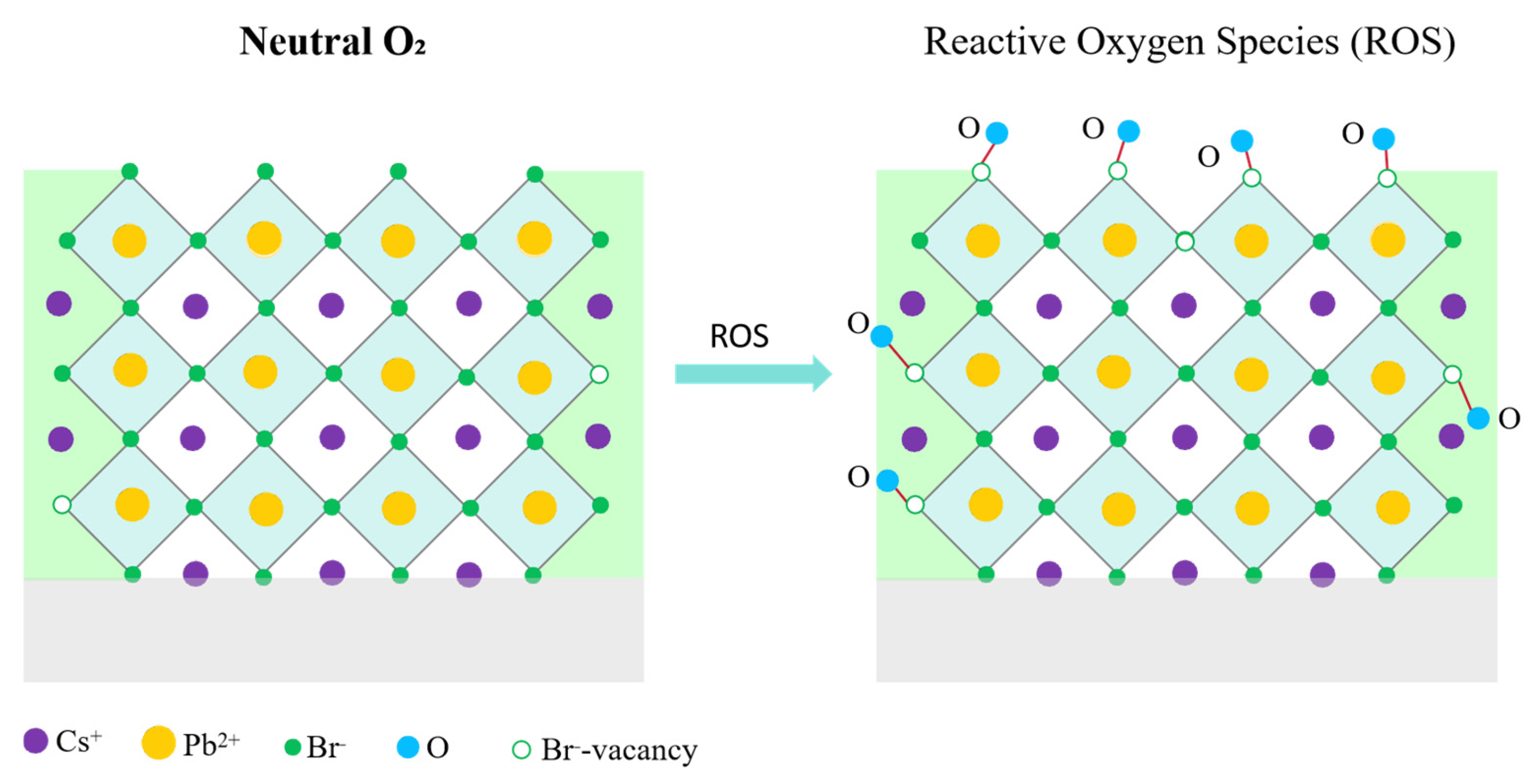 Materials 18 05467 g007