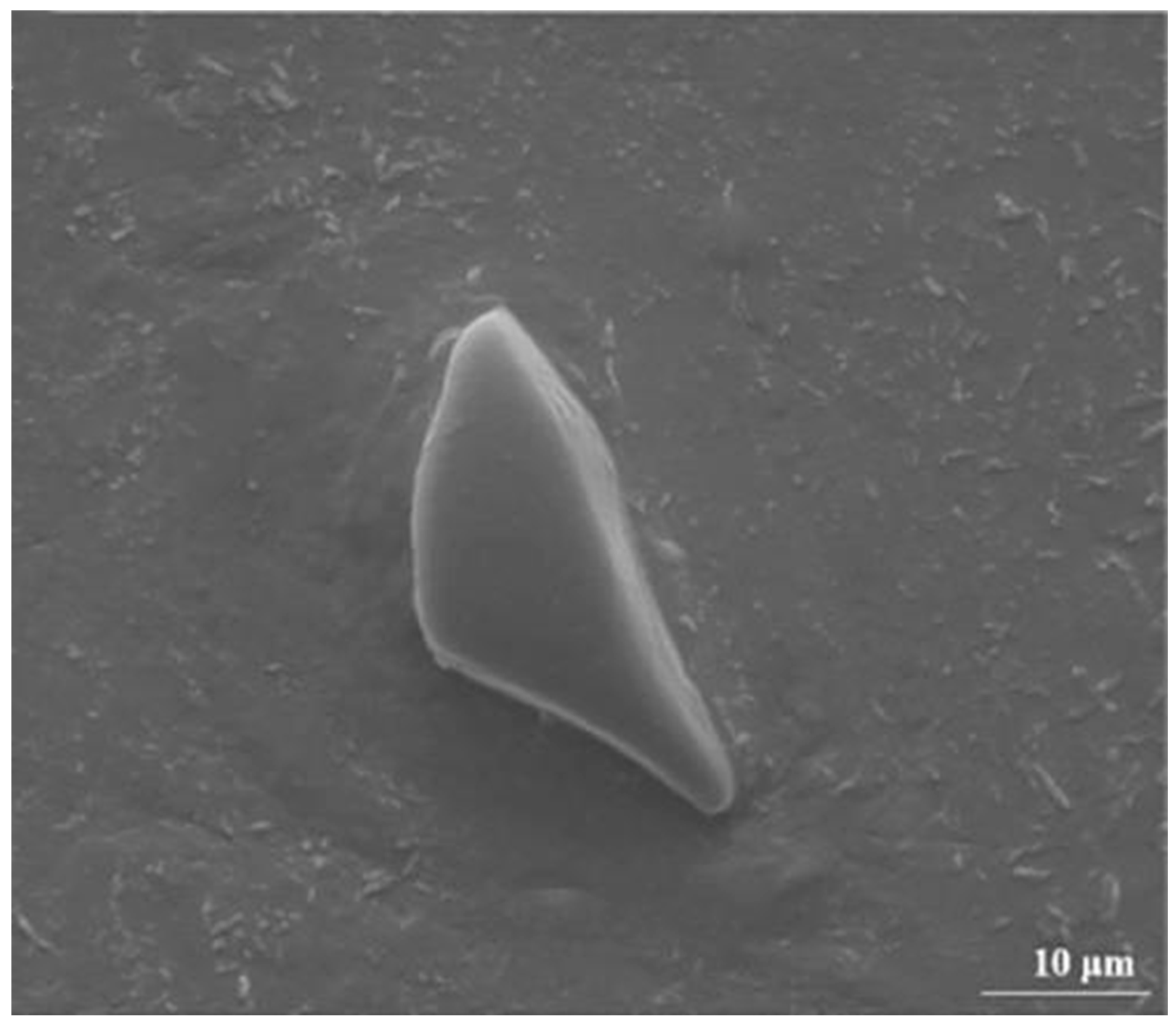 Materials 18 05469 g003 Materials 18 05469 g003