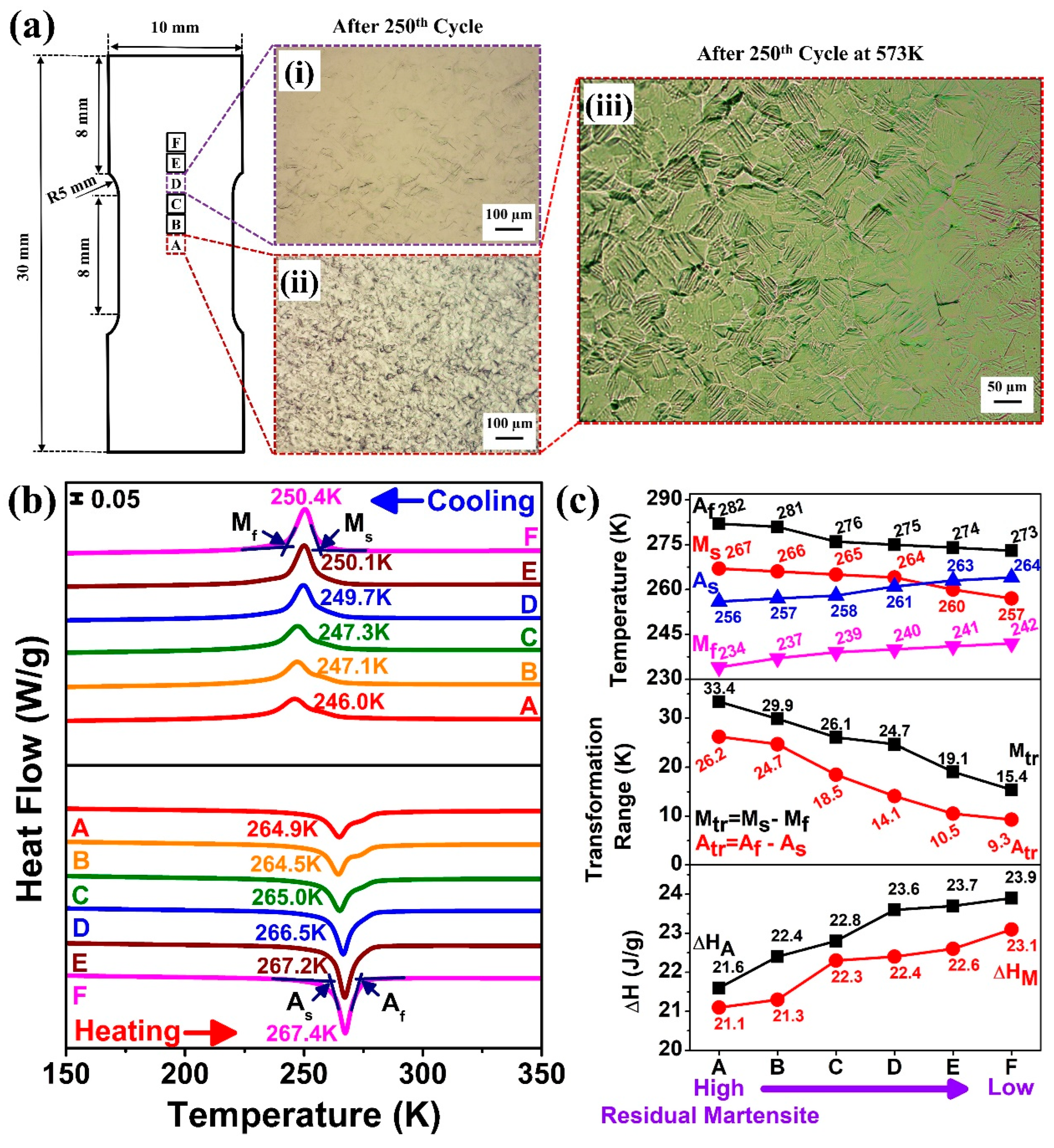 Materials 18 05489 g006