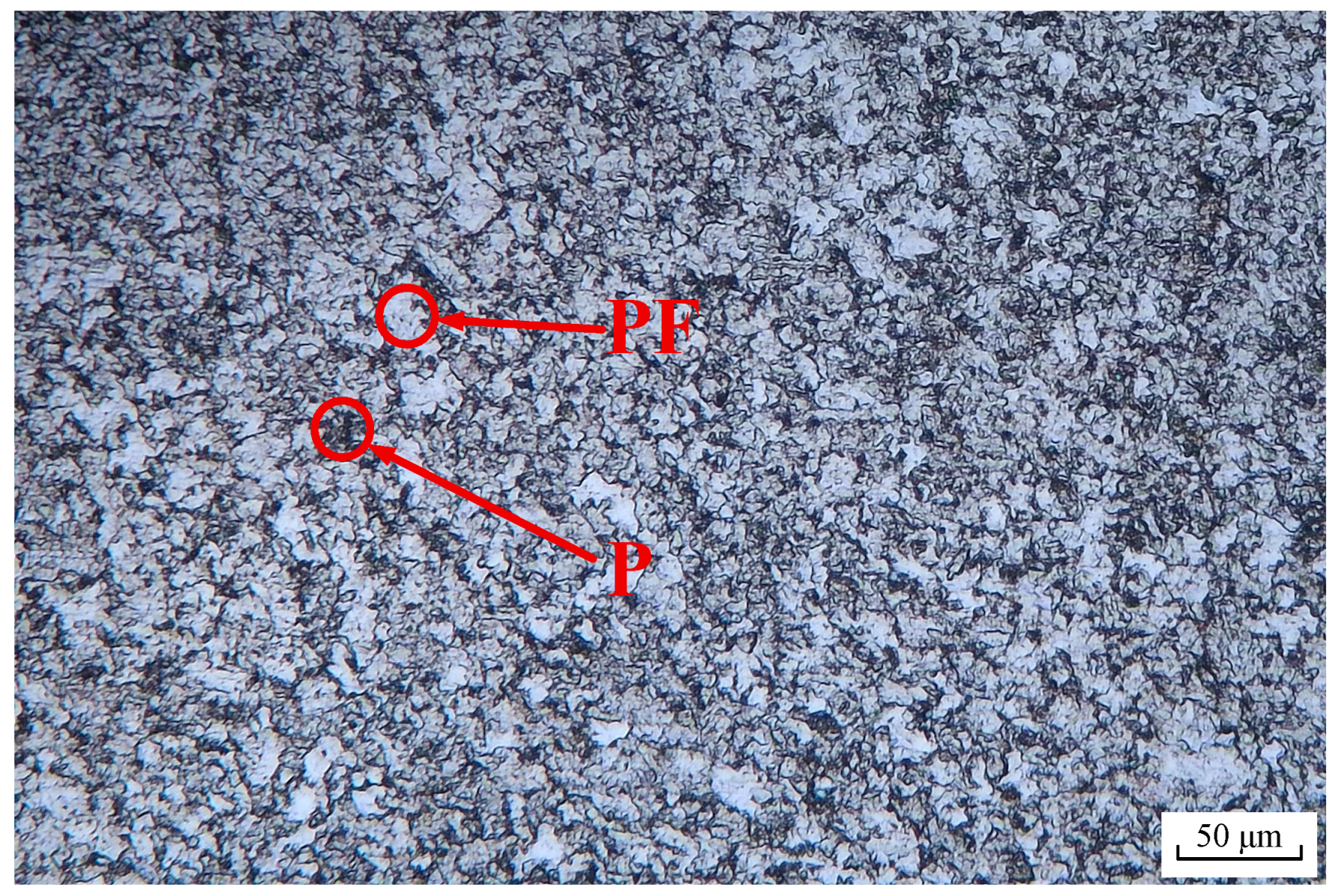 Materials 18 05492 g001