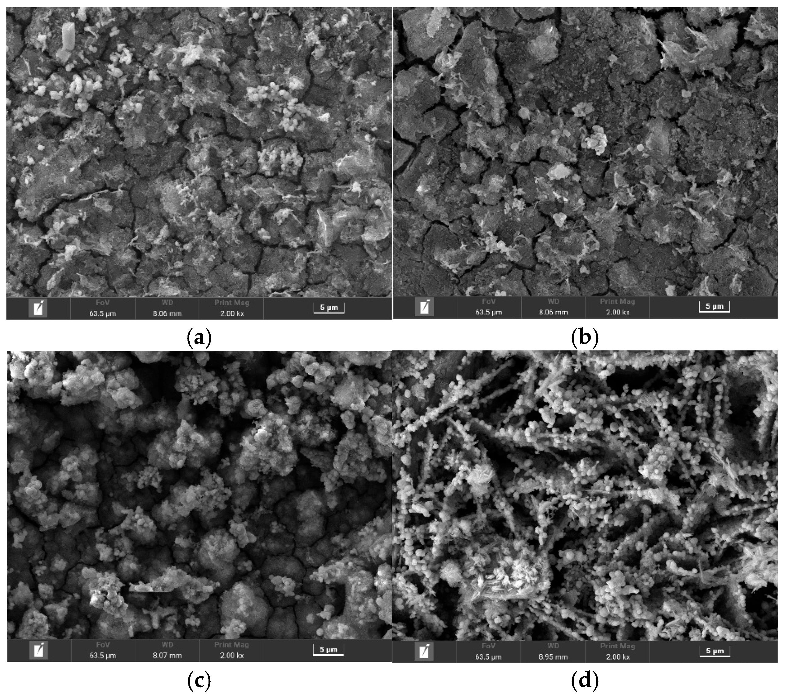 Materials 18 05492 g004