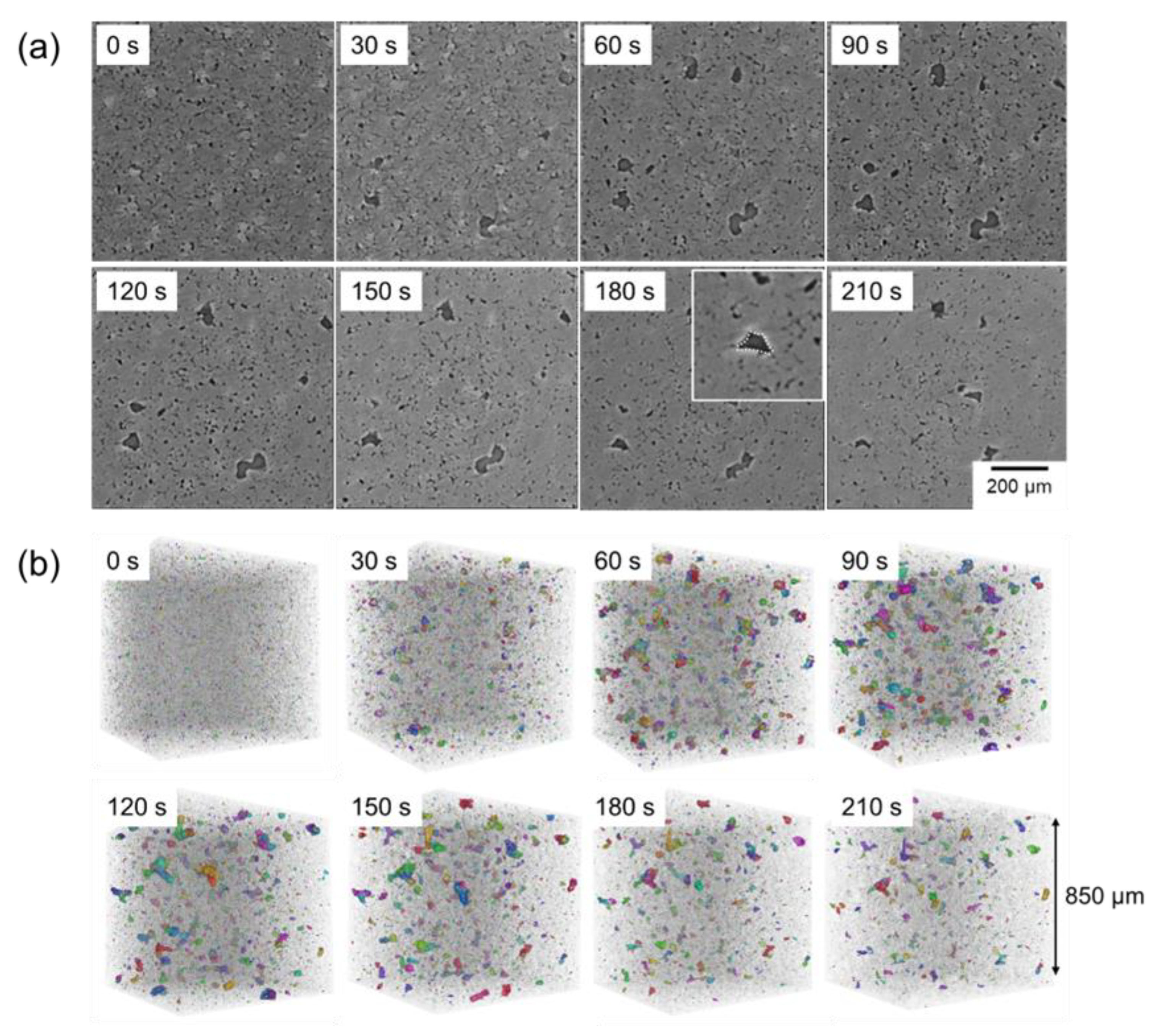 Materials 18 05499 g010 Materials 18 05499 g010