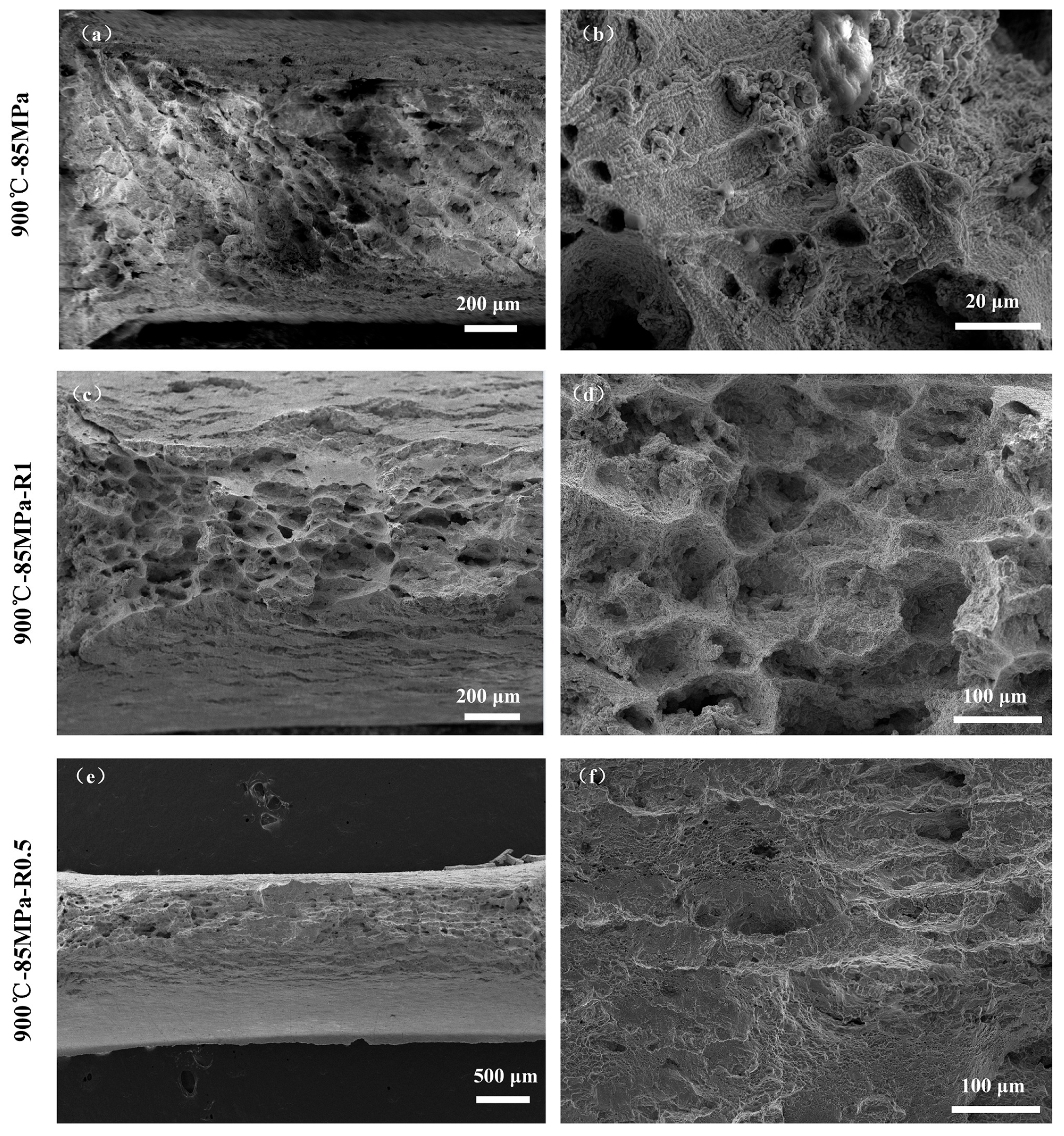 Materials 18 05509 g012 Materials 18 05509 g012