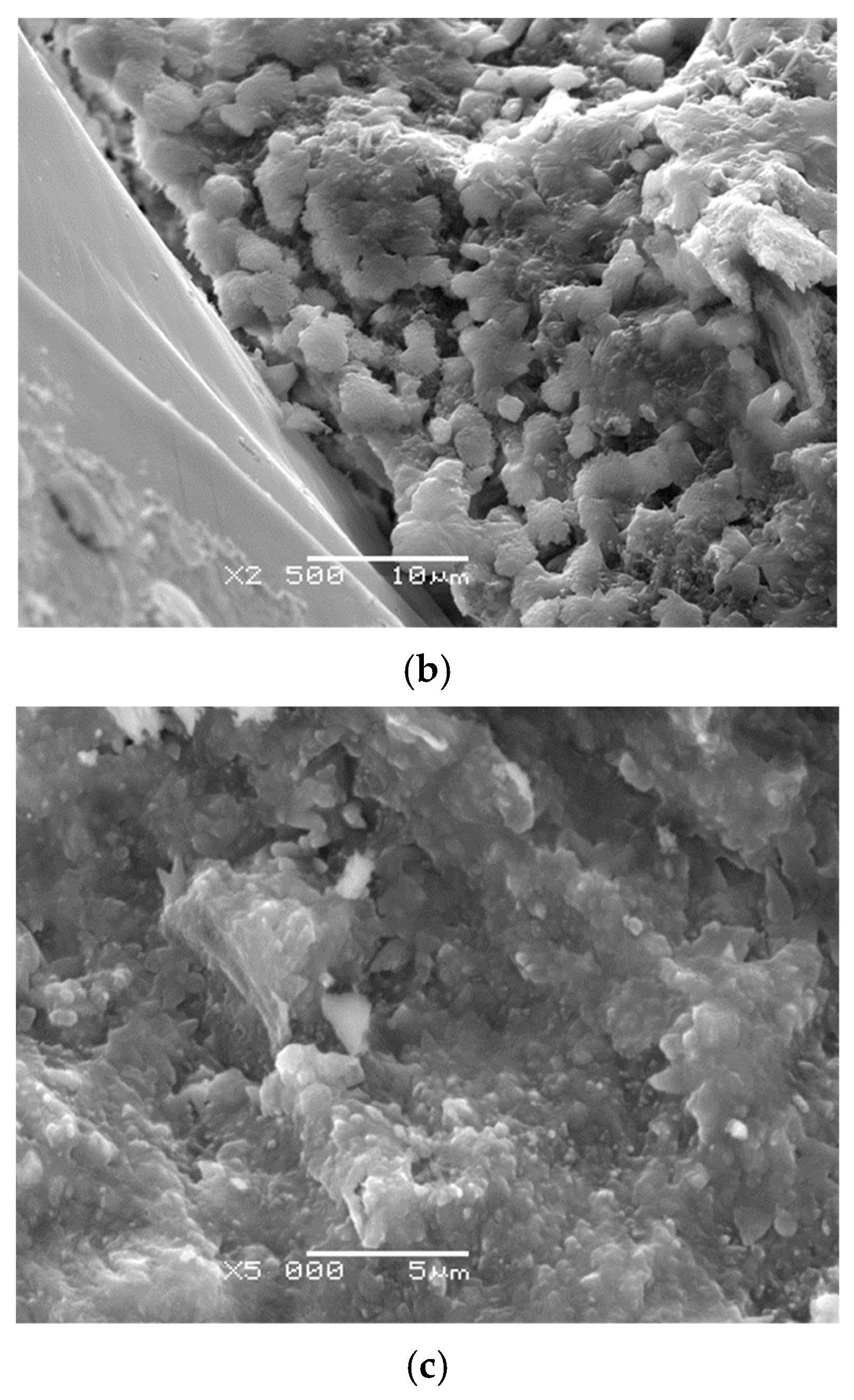 Materials 18 05516 g003b