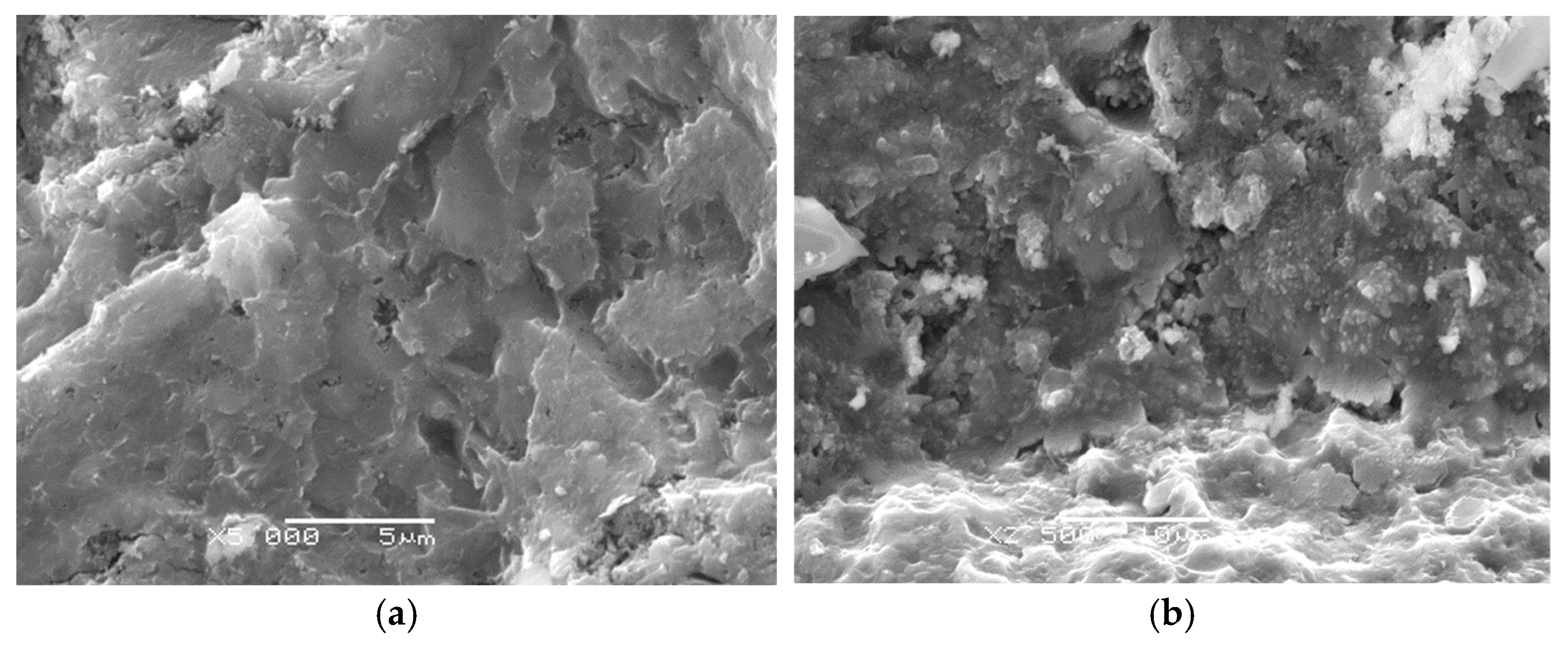 Materials 18 05516 g005