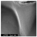 Materials 18 05530 i011 Materials 18 05530 i011