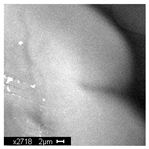 Materials 18 05530 i012 Materials 18 05530 i012