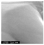 Materials 18 05530 i013 Materials 18 05530 i013