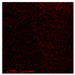 Materials 18 05530 i029 Materials 18 05530 i029