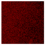 Materials 18 05530 i030 Materials 18 05530 i030