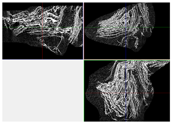 Materials 18 05530 i034 Materials 18 05530 i034