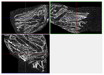 Materials 18 05530 i037 Materials 18 05530 i037
