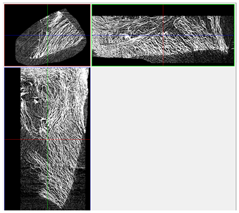 Materials 18 05530 i040 Materials 18 05530 i040