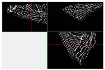 Materials 18 05530 i043 Materials 18 05530 i043