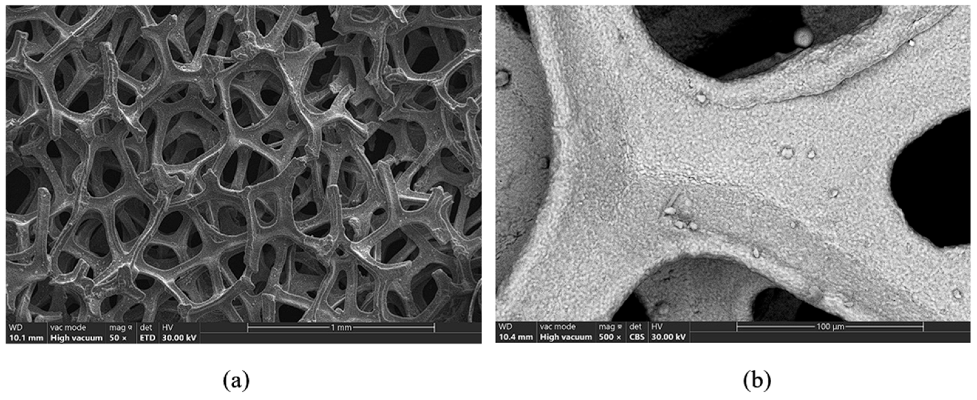 Materials 18 05549 g006