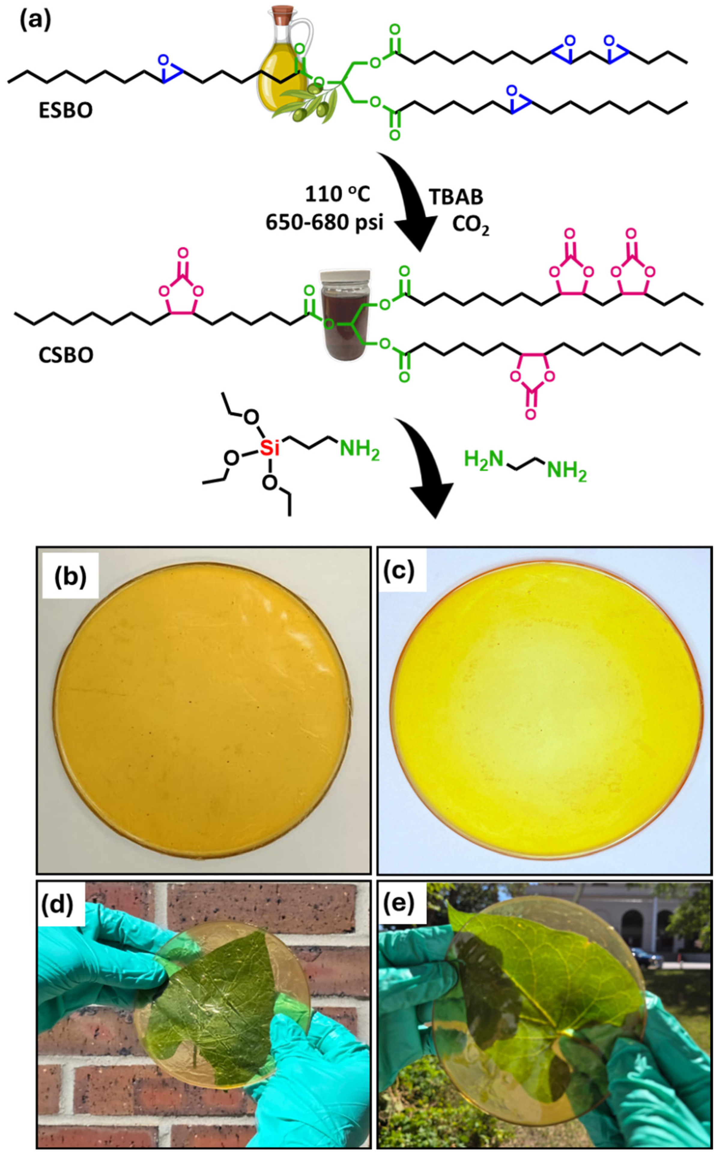 Materials 18 05551 g001 Materials 18 05551 g001