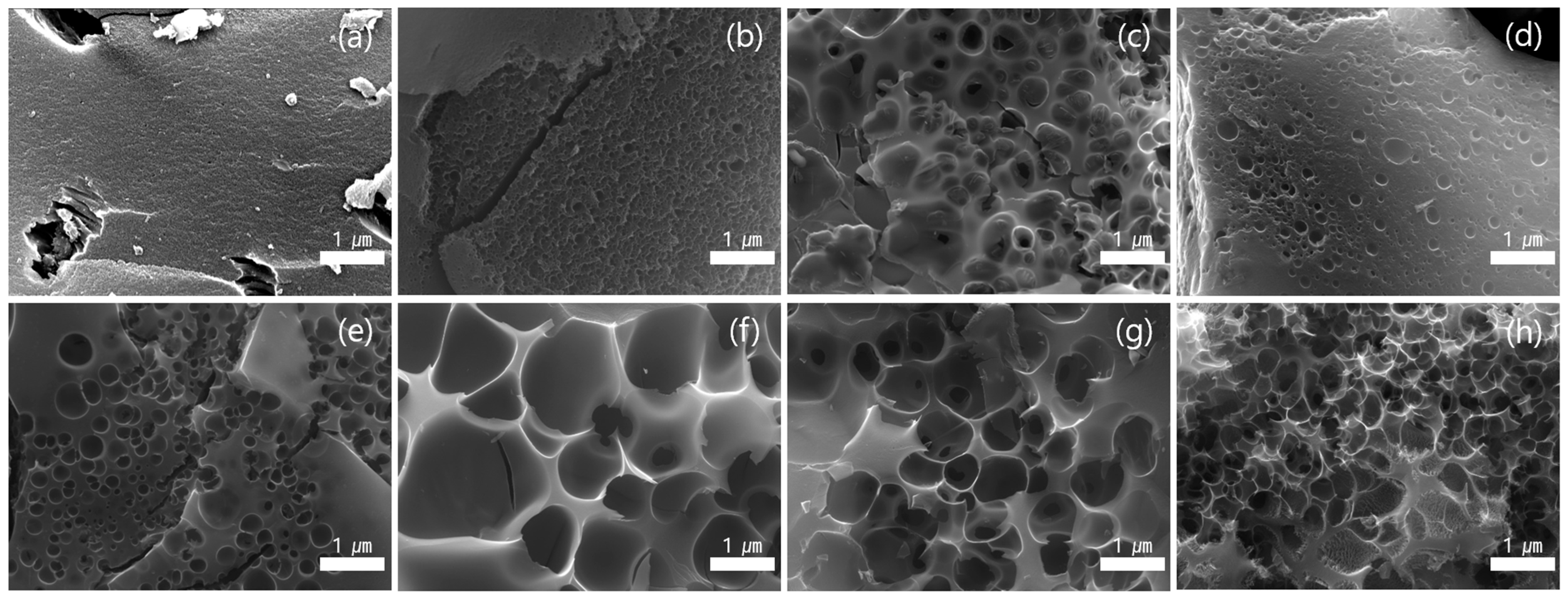 Materials 18 05563 g002