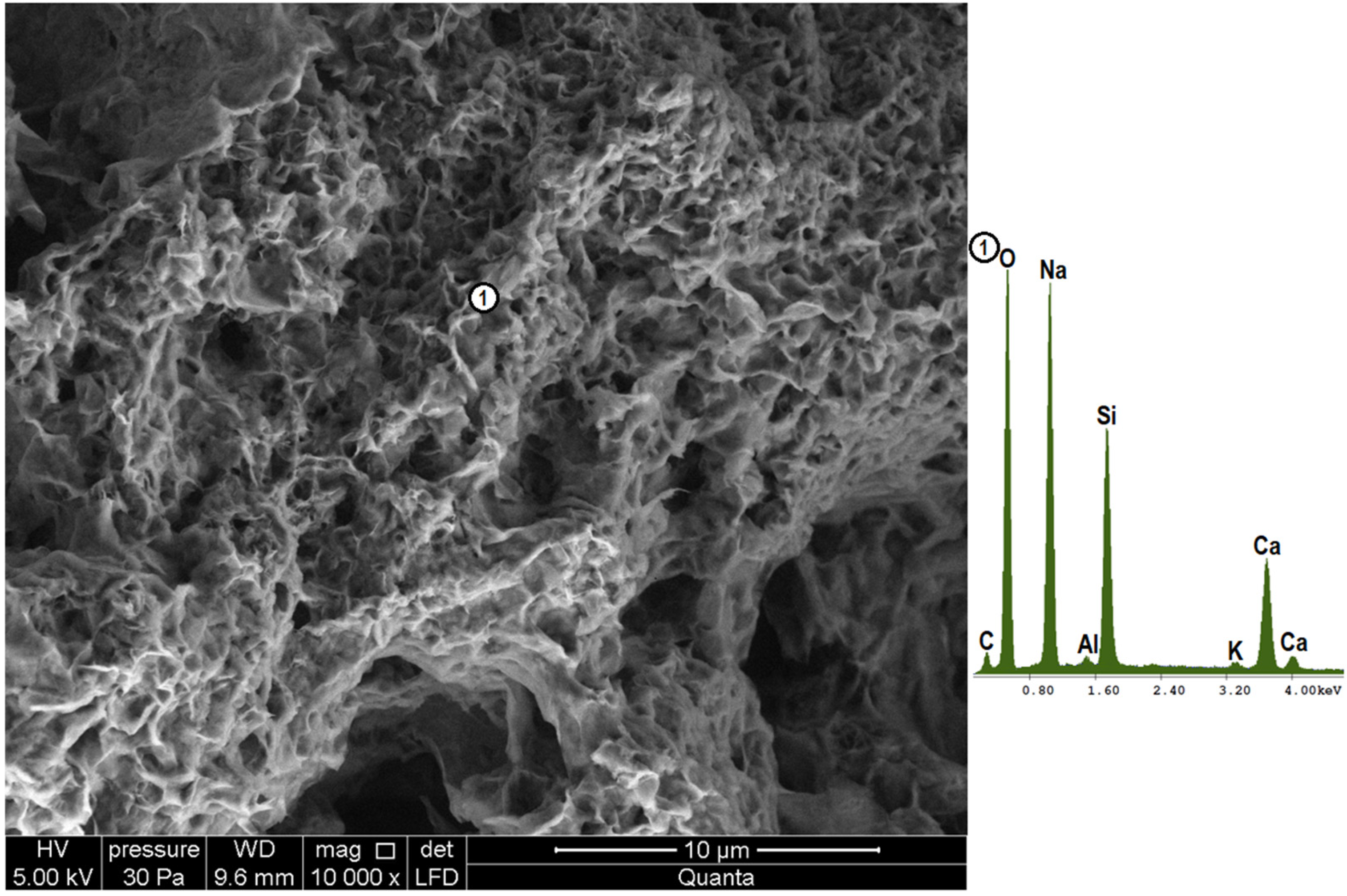 Materials 18 05565 g007 Materials 18 05565 g007