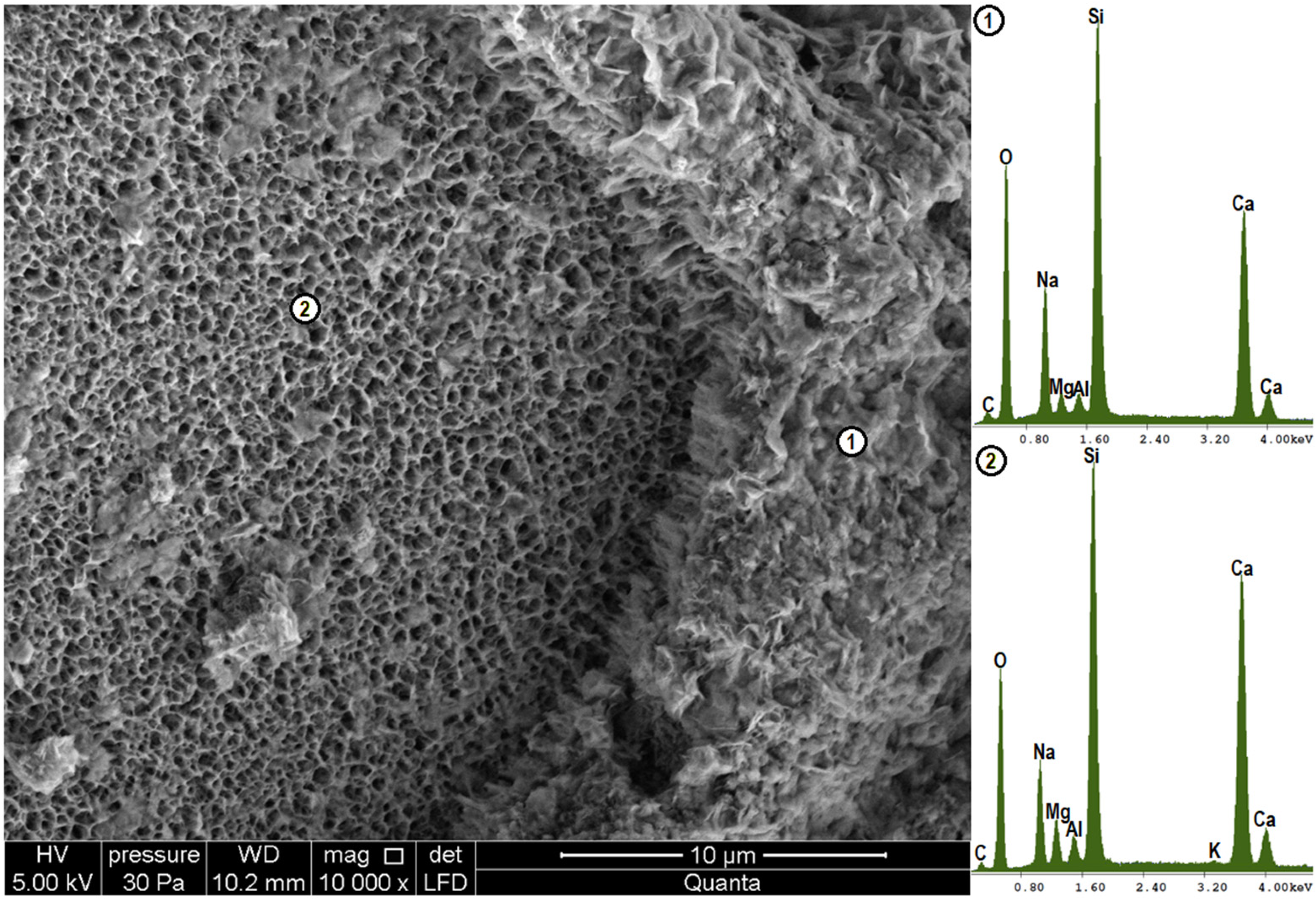 Materials 18 05565 g008 Materials 18 05565 g008