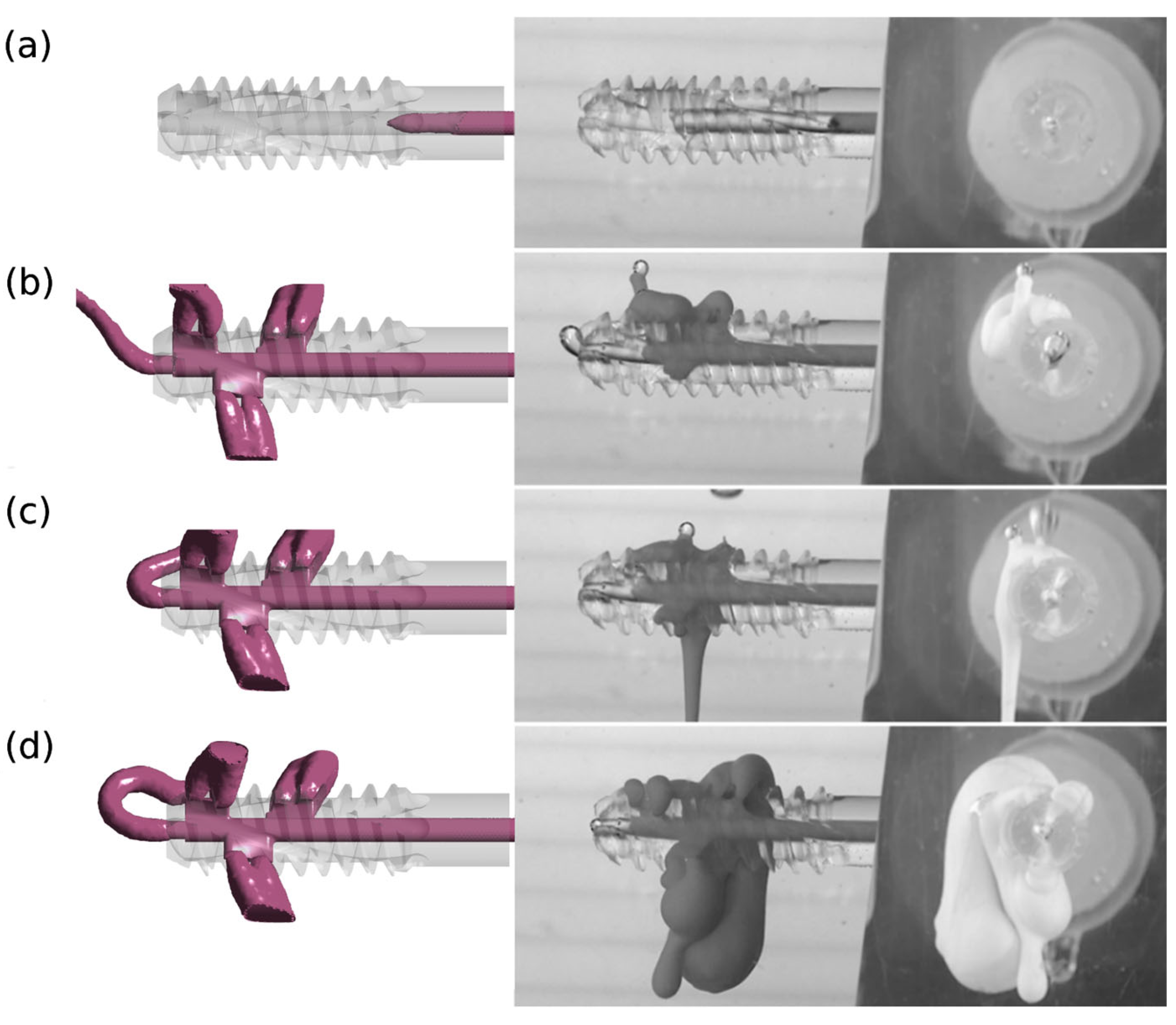 Materials 18 05566 g006