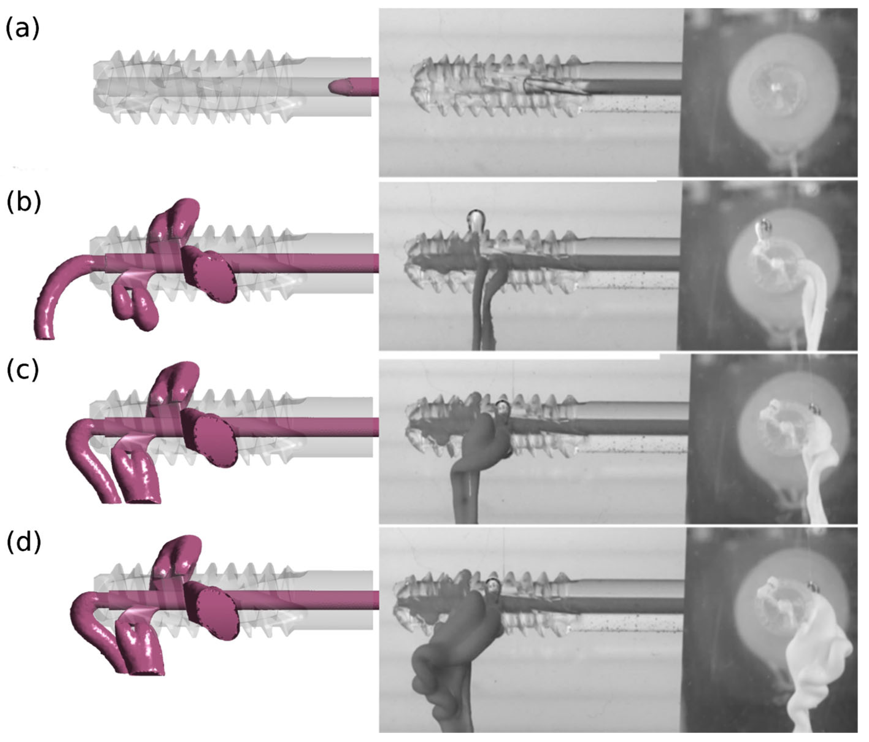 Materials 18 05566 g007