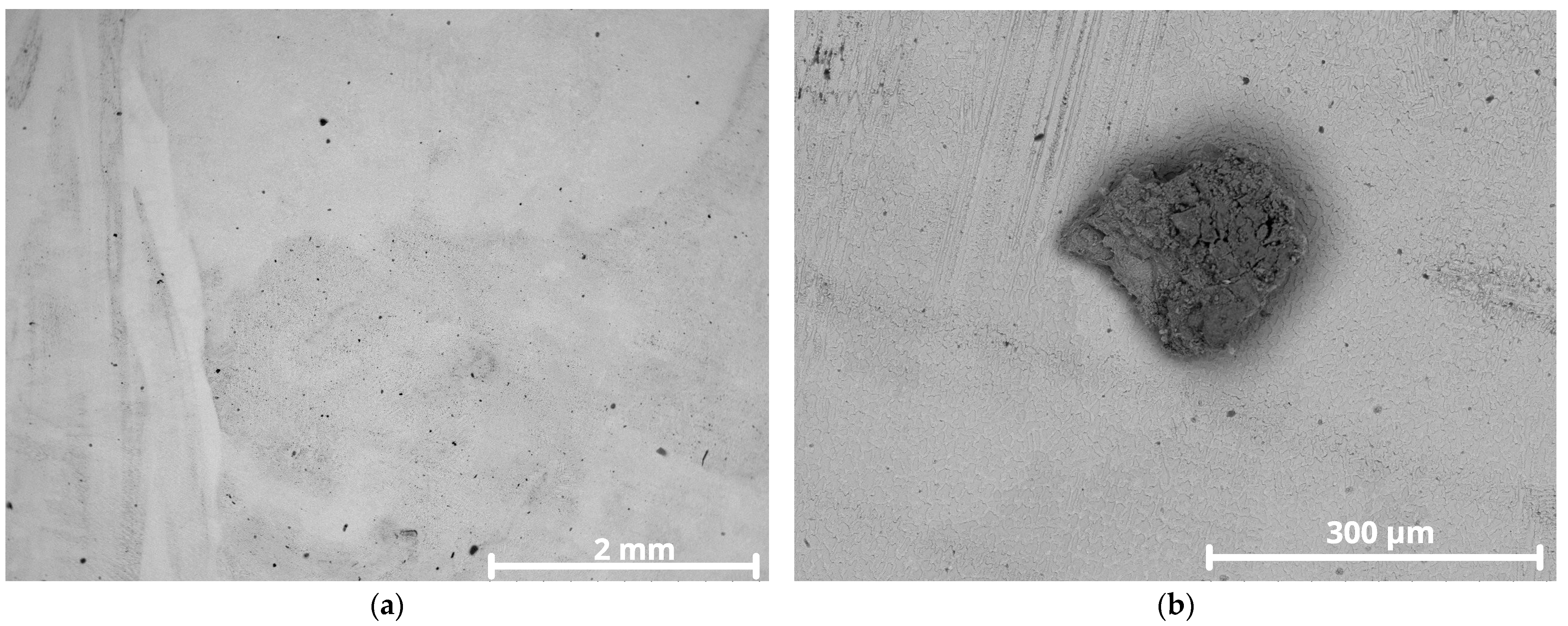 Materials 18 05574 g013 Materials 18 05574 g013