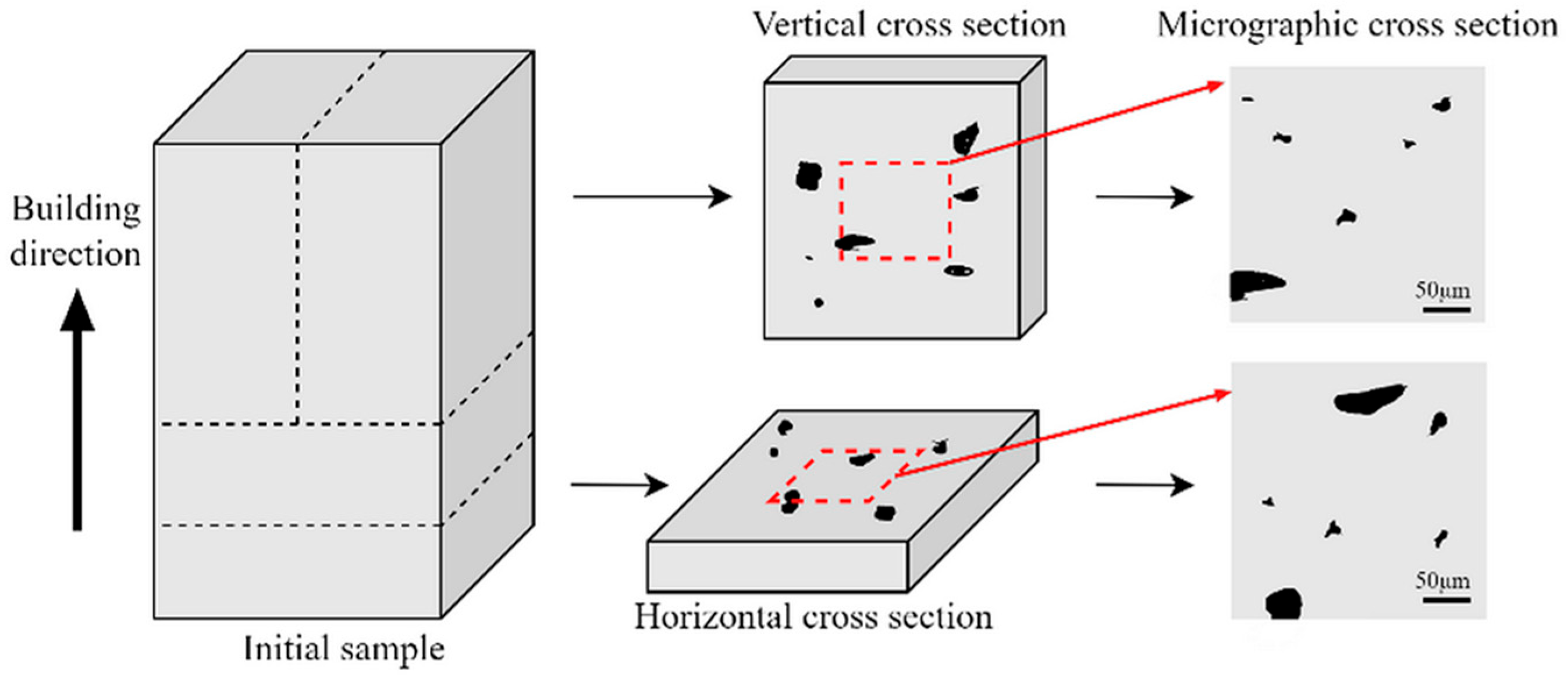 Materials 18 05579 g002