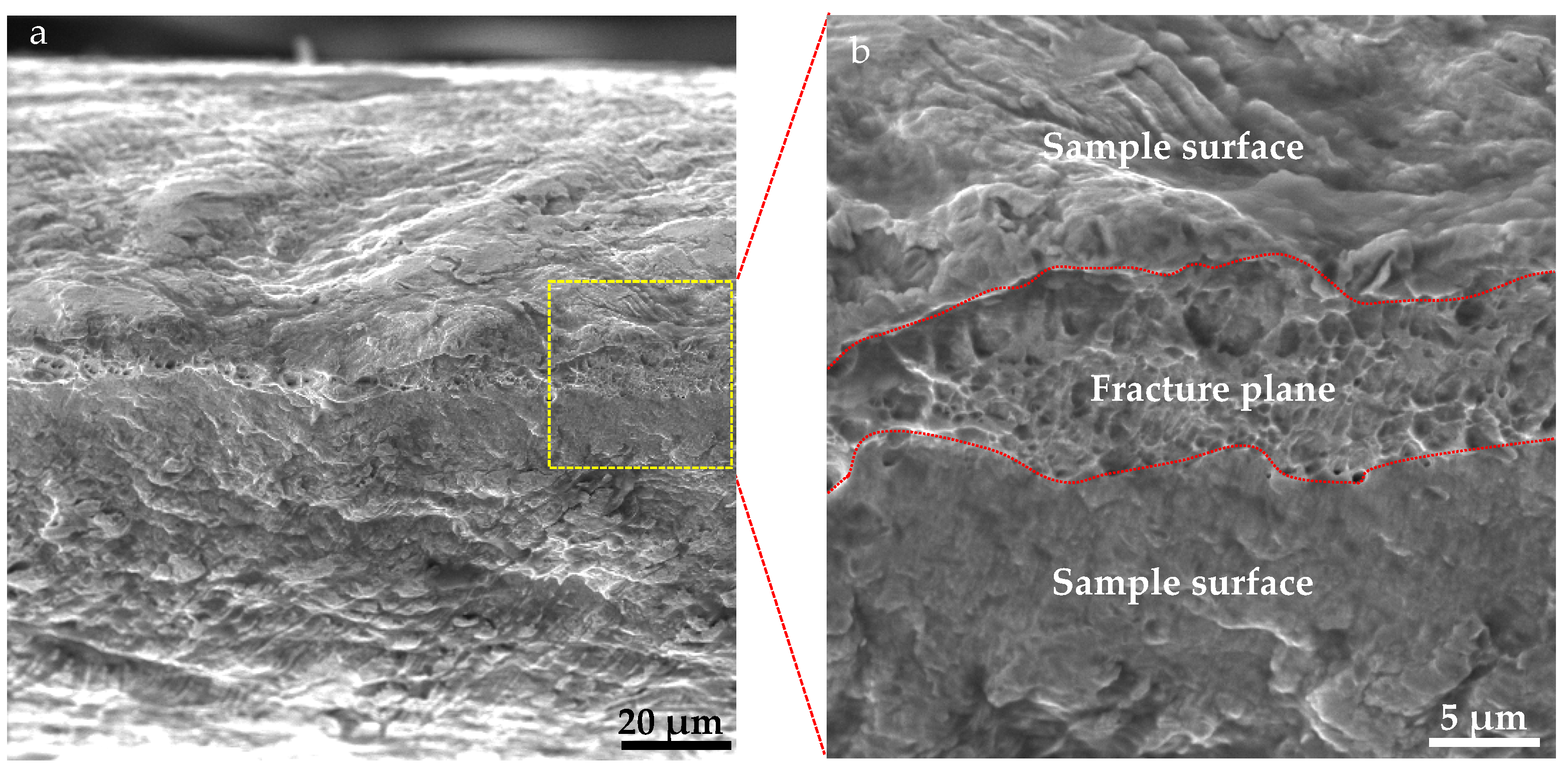 Materials 18 05580 g009 Materials 18 05580 g009
