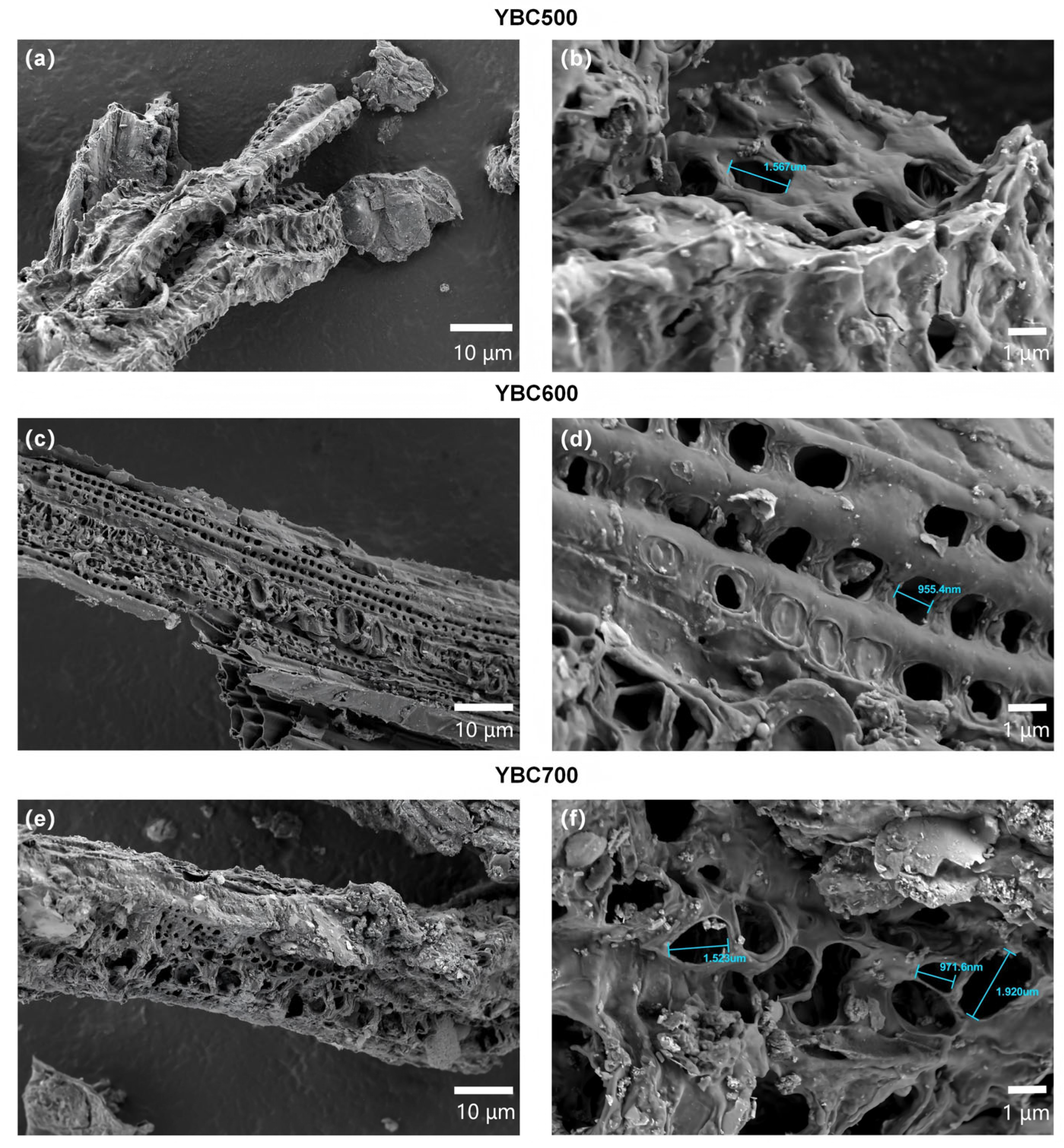 Materials 18 05591 g004
