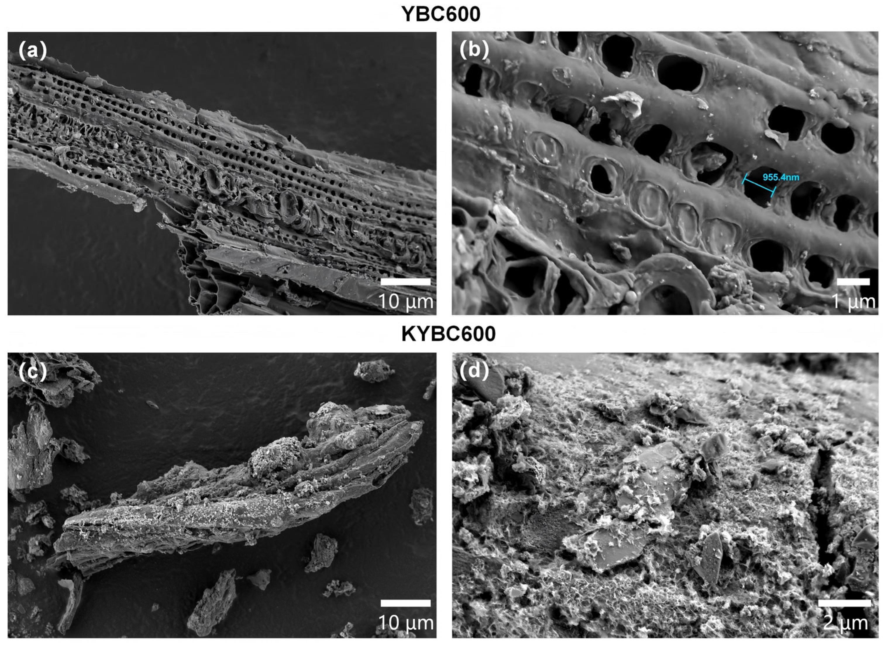 Materials 18 05591 g007