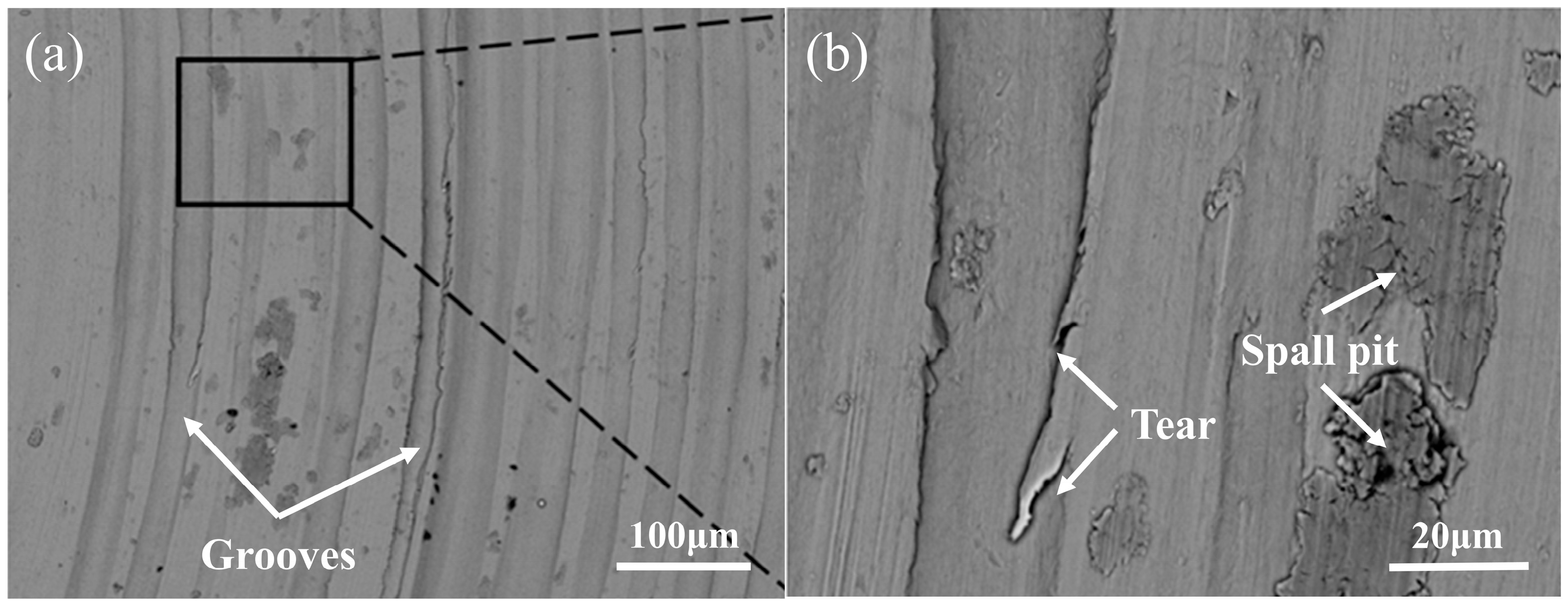 Materials 18 05609 g009 Materials 18 05609 g009