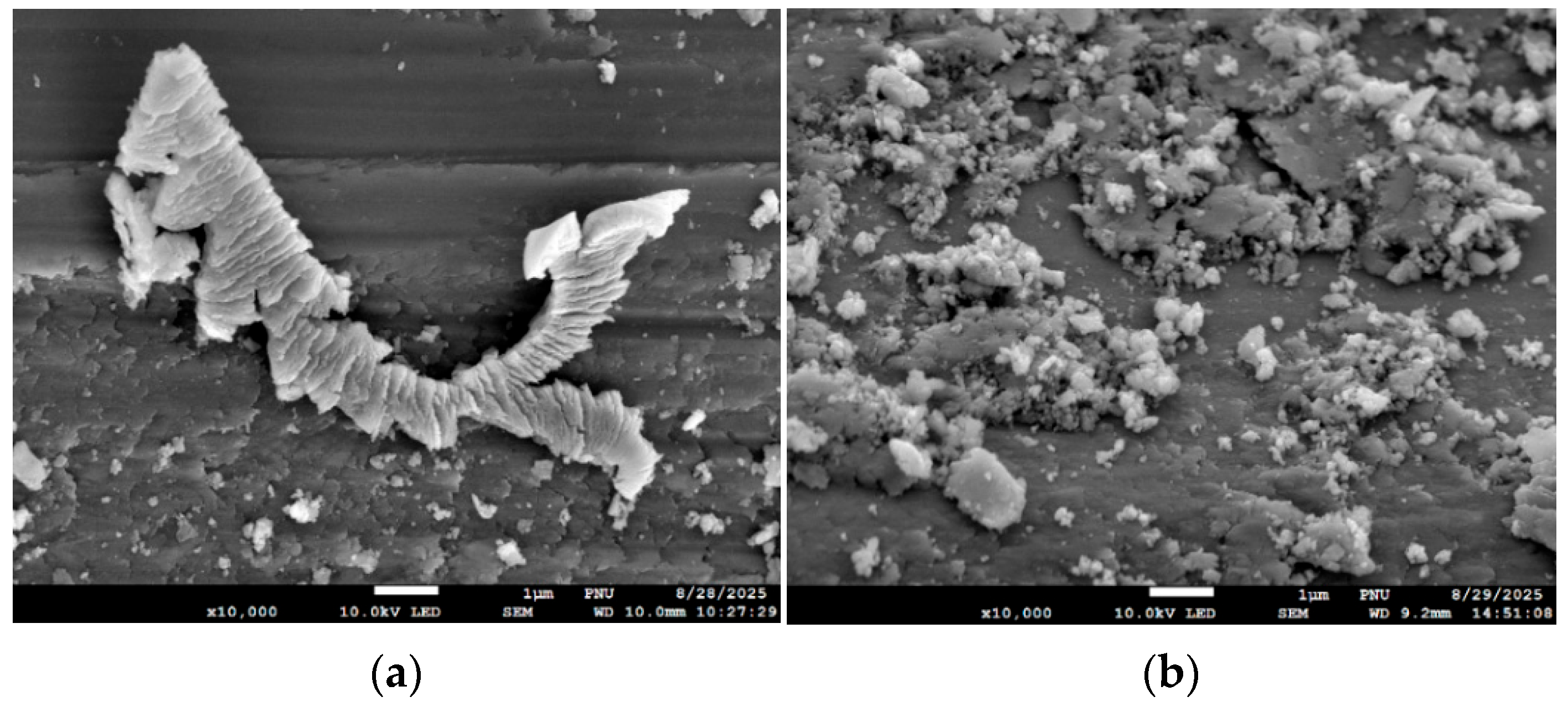 Materials 18 05623 g004