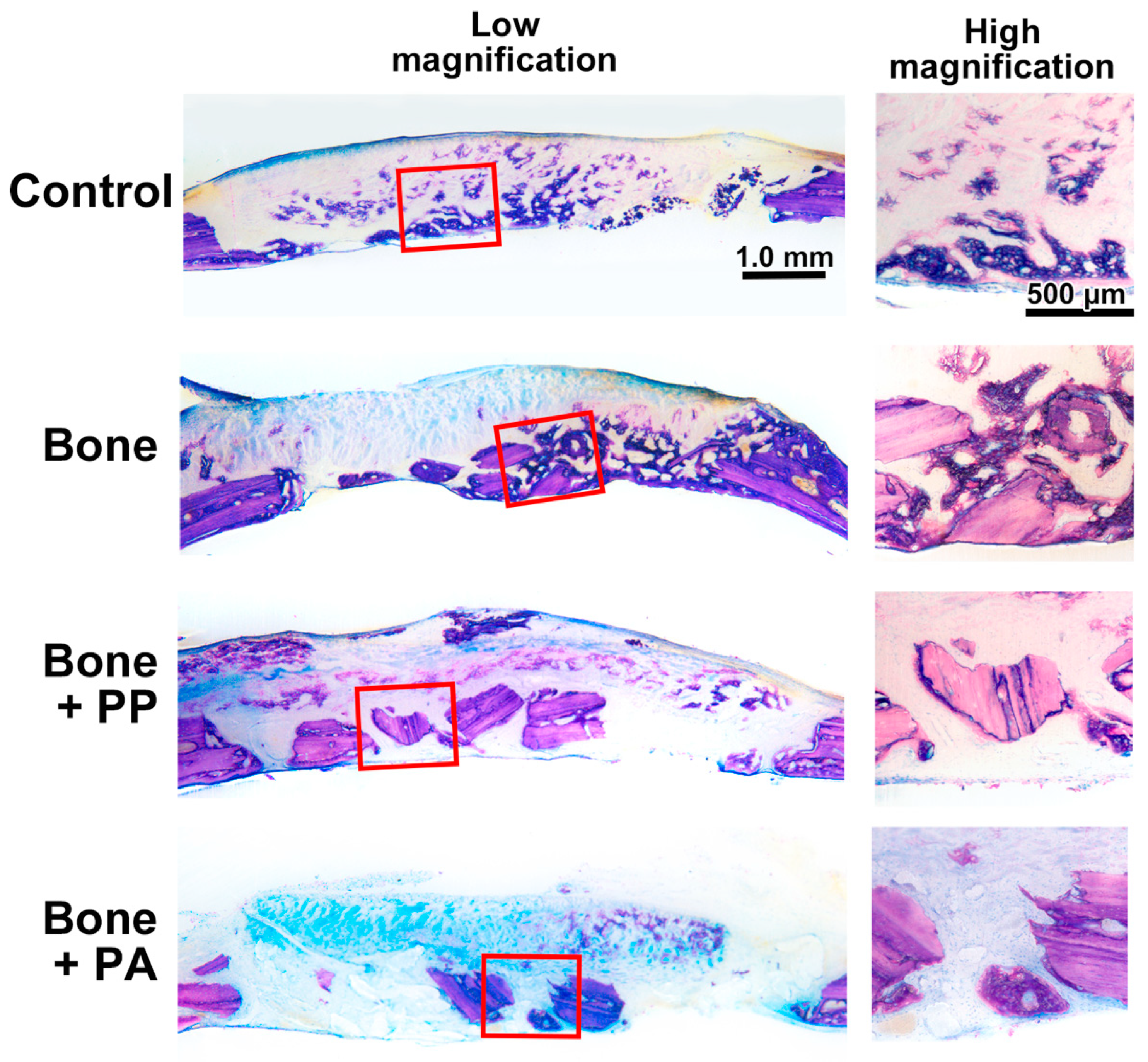 Materials 18 05624 g006