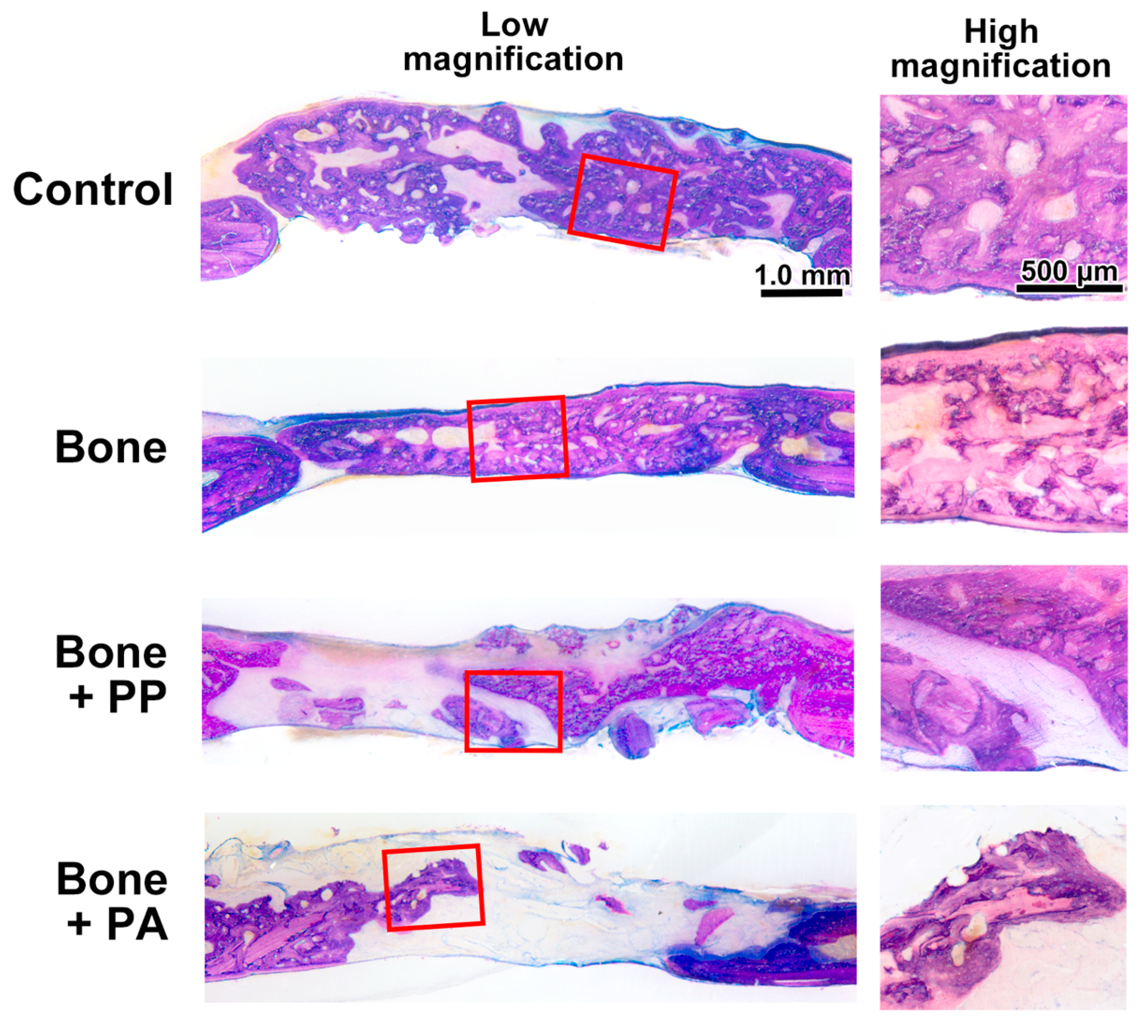 Materials 18 05624 g007