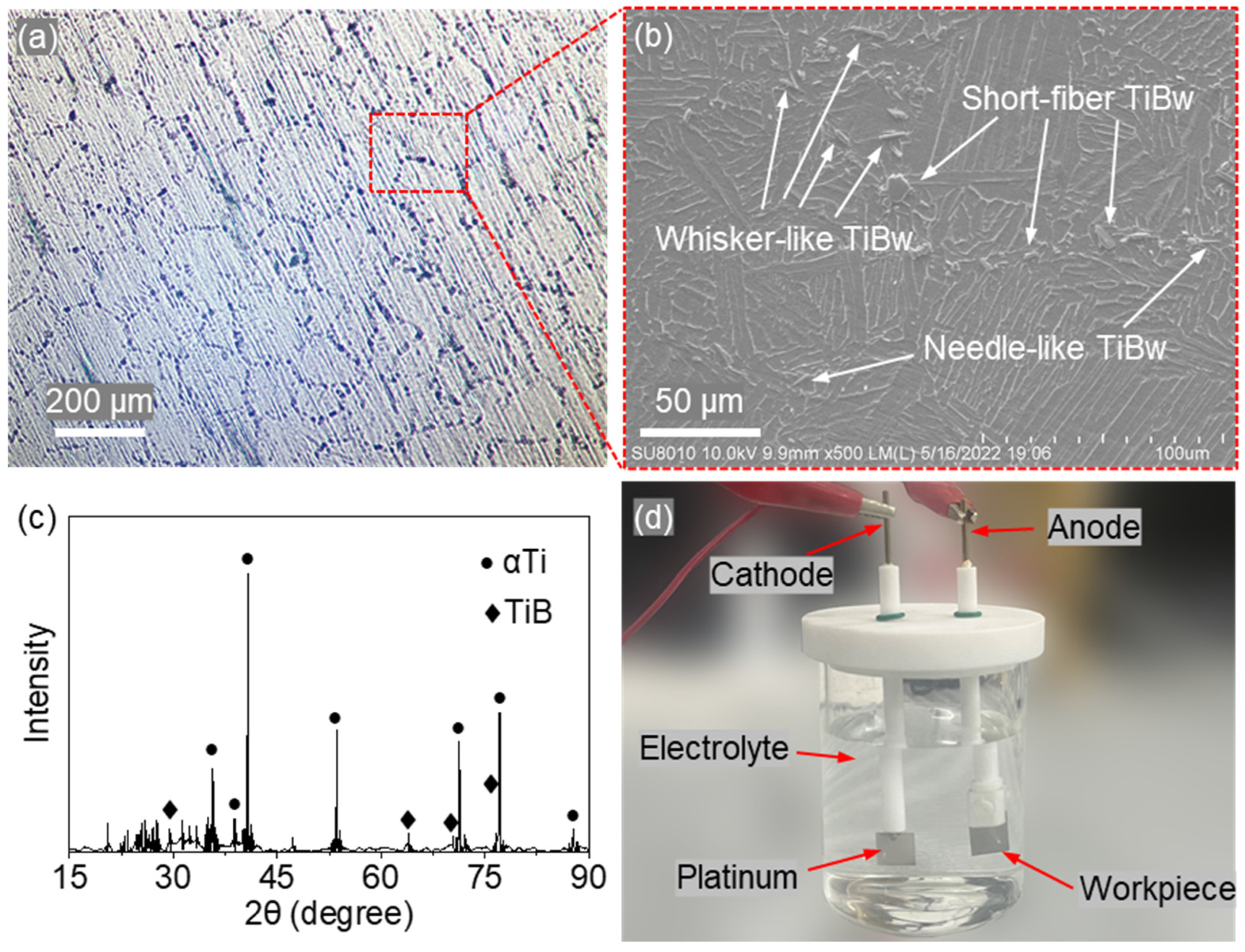 Materials 18 05628 g001