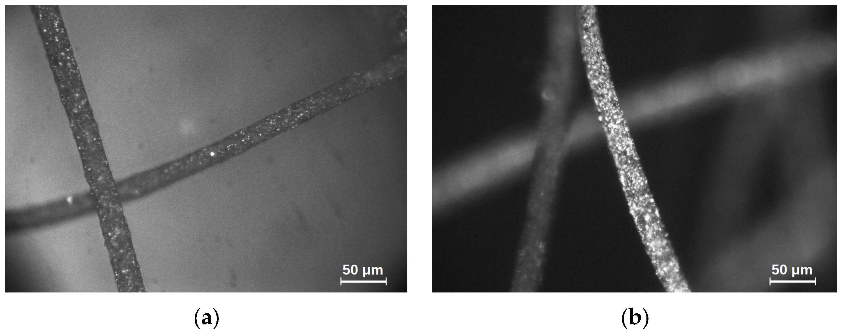 Materials 18 05631 g001