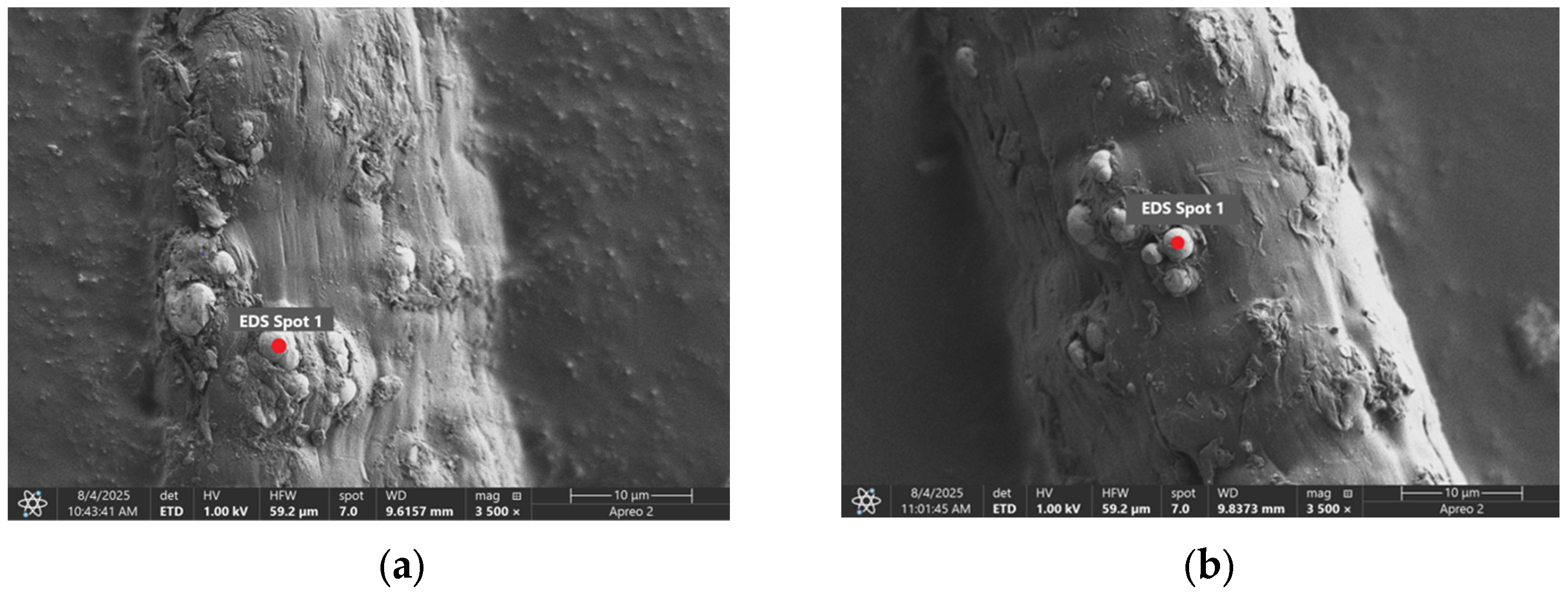 Materials 18 05631 g002