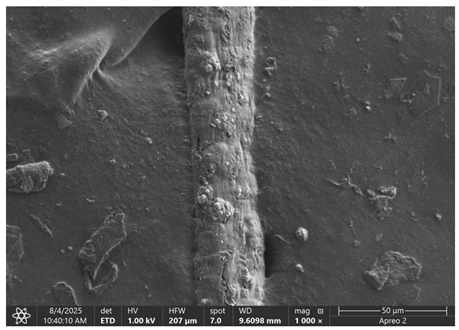 Materials 18 05631 i002