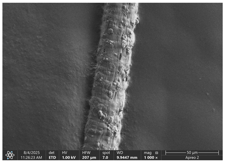 Materials 18 05631 i004