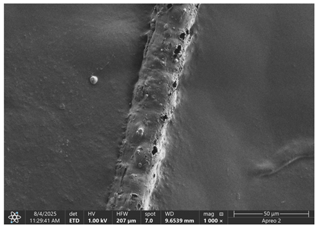 Materials 18 05631 i005