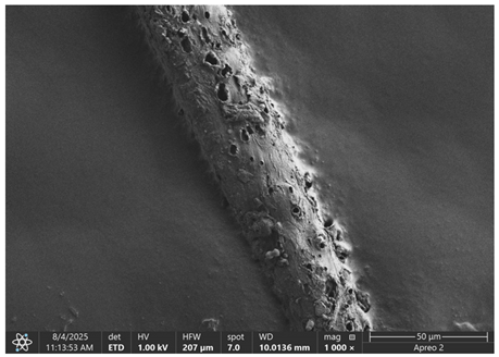 Materials 18 05631 i006